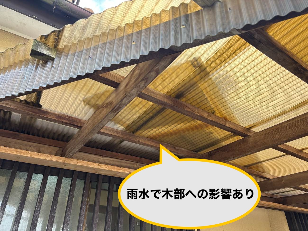 糸島市の波板破損を調査、骨組みへの影響