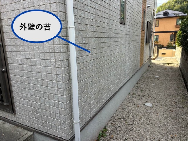 外壁の汚れ