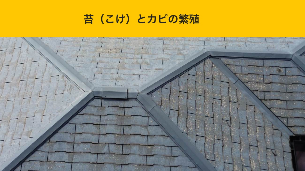 福岡市博多区の屋根工事、屋根リフォーム、雨漏り調査