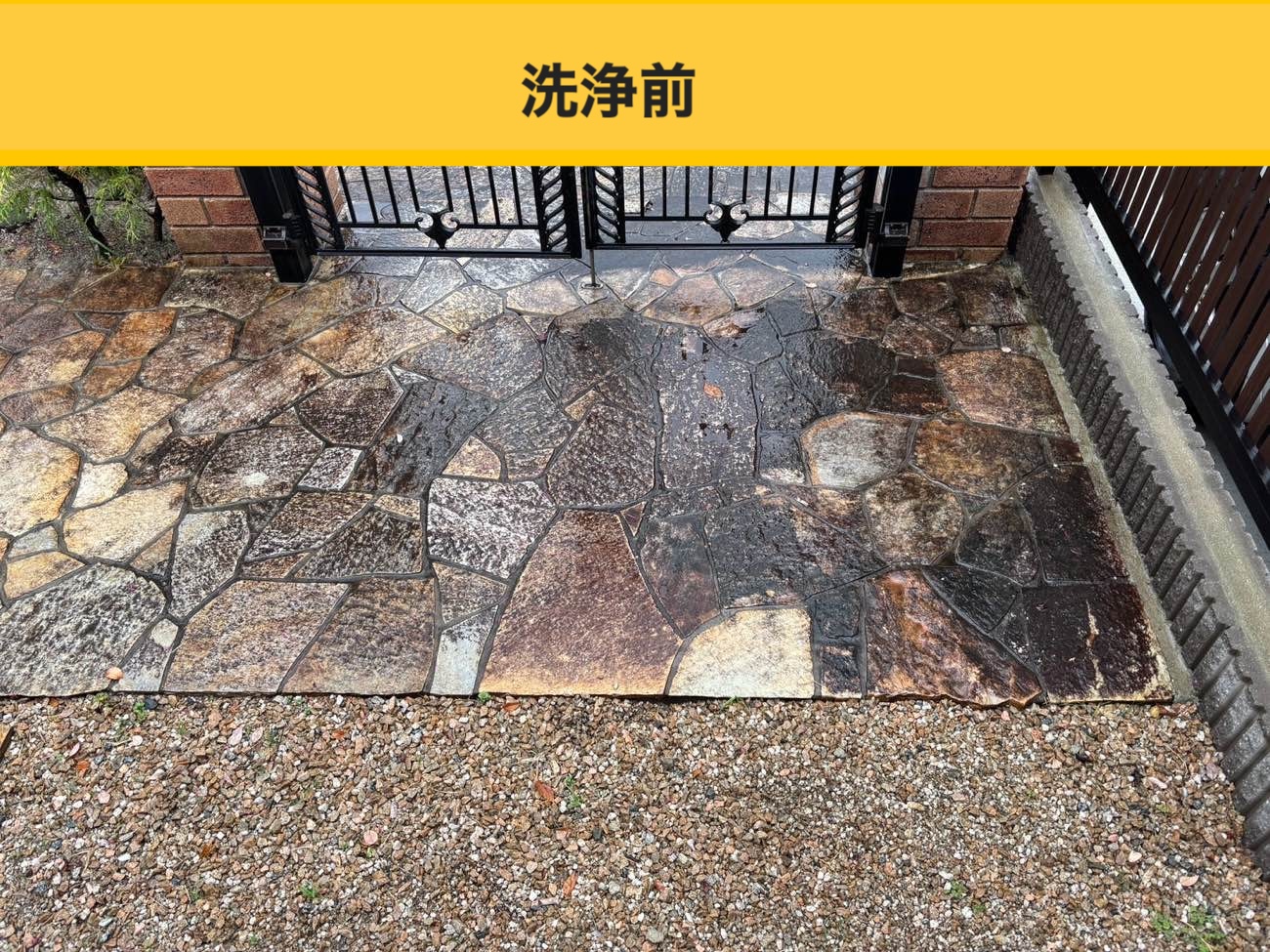 福岡市の屋根、鳥被害、太陽光パネル