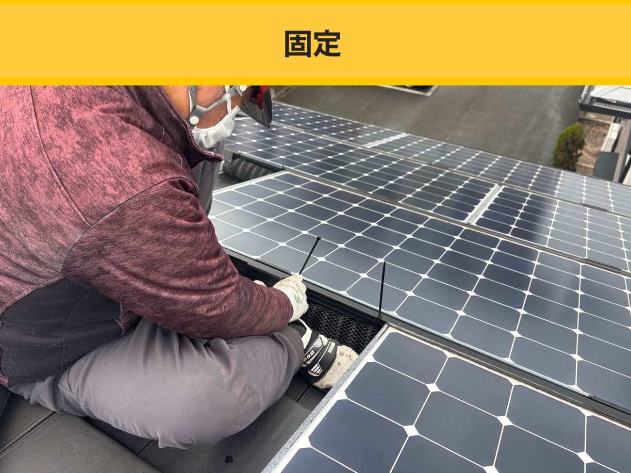 福岡市の屋根、鳥被害、太陽光パネル