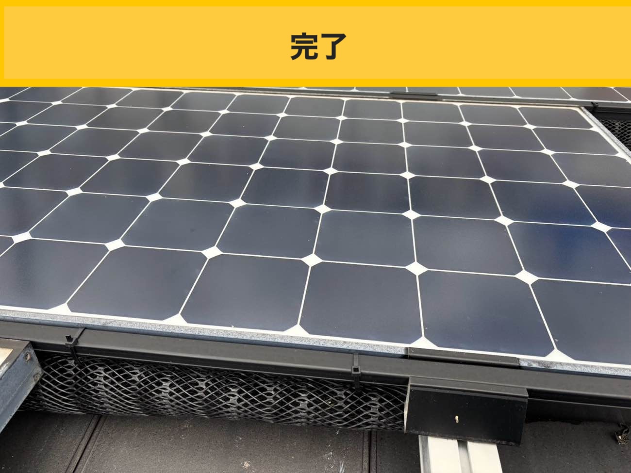 福岡市の屋根、鳥被害、太陽光パネル