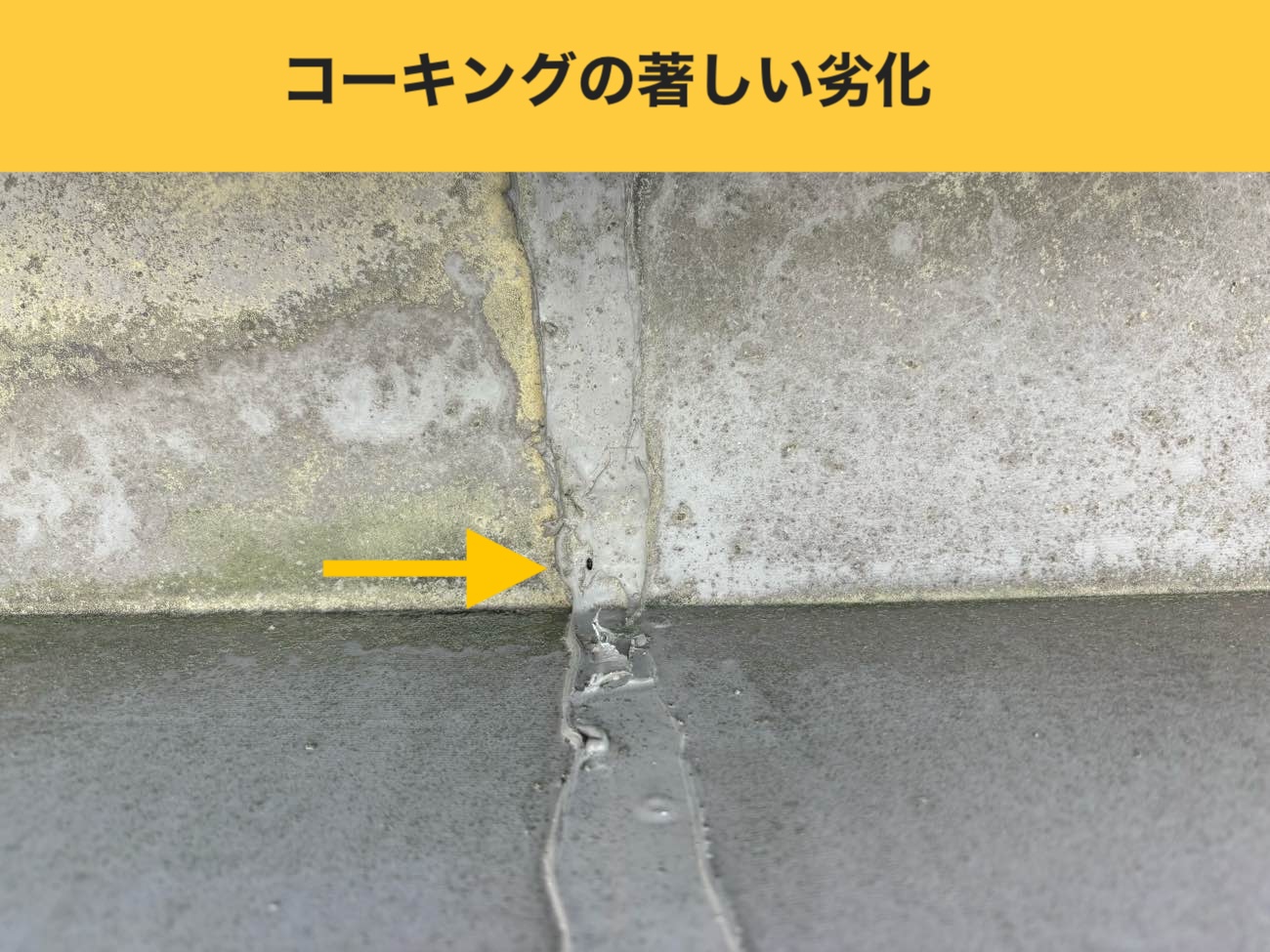 福岡市博多区の陸屋根、屋根工事、金属屋根
