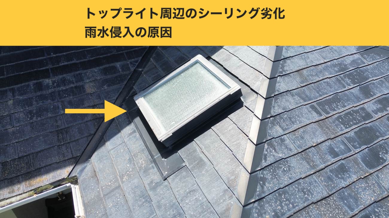 福岡市早良区、トップライト、天窓、調査