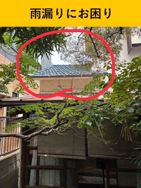 雨漏り箇所
