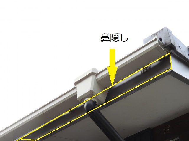 鼻隠し