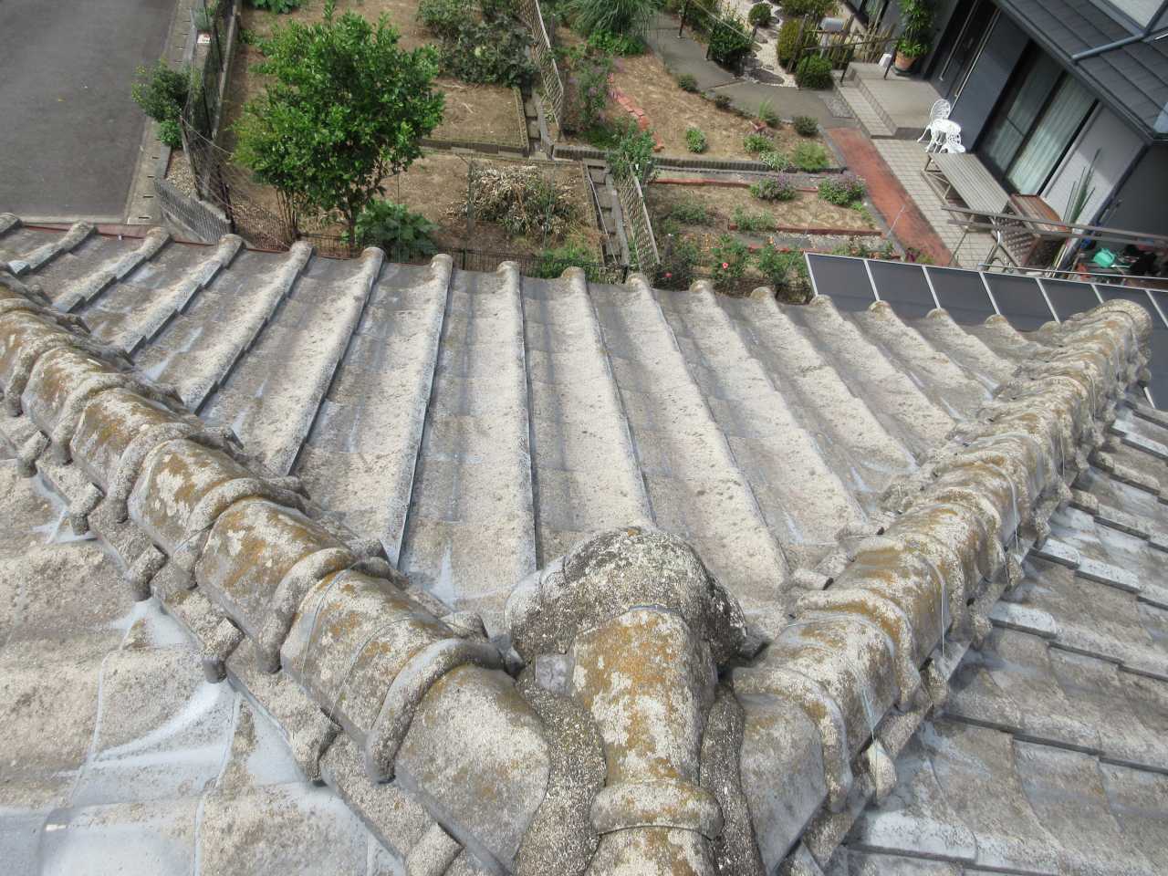 屋根コケ
