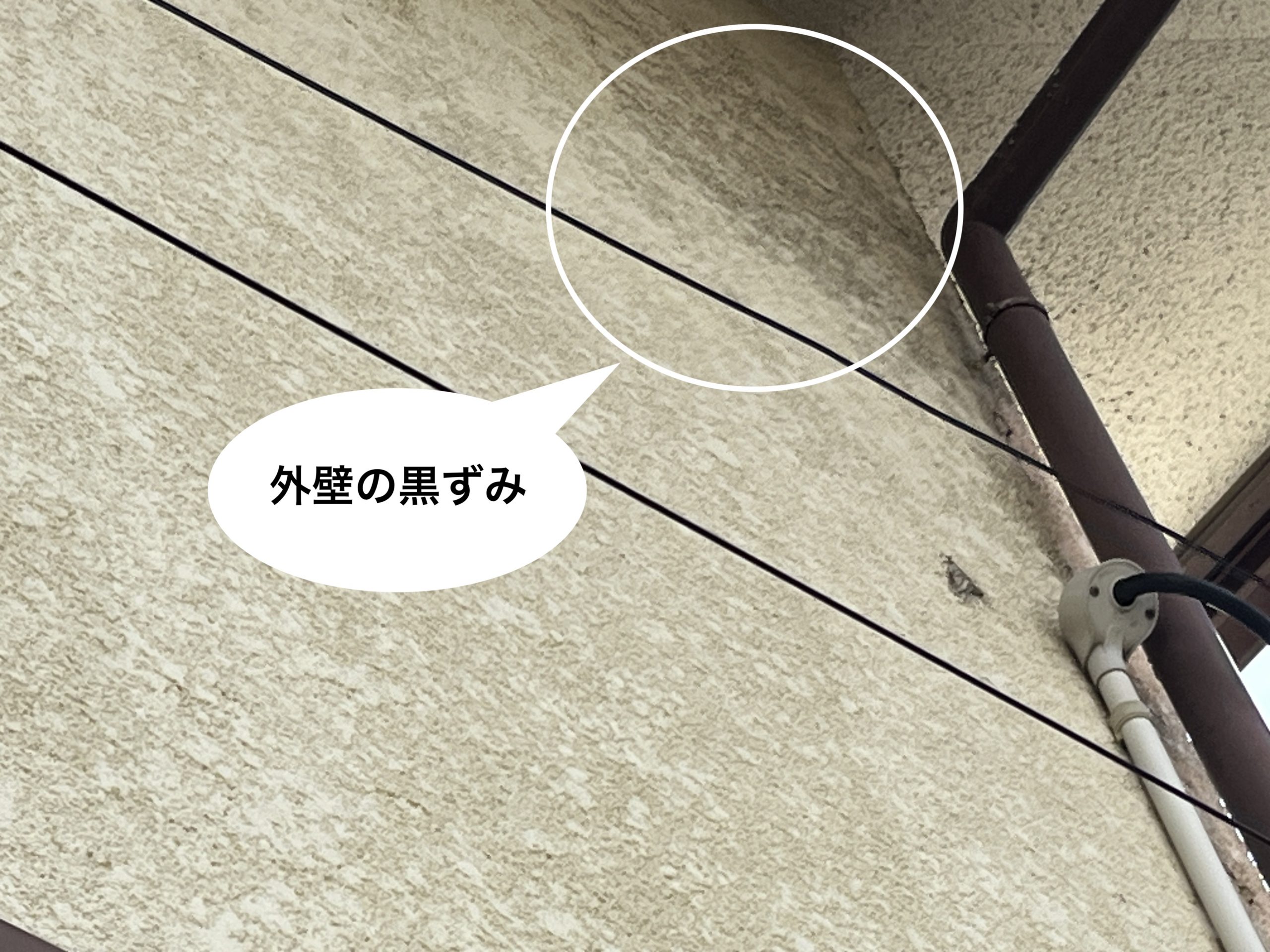 外壁の黒ずみ