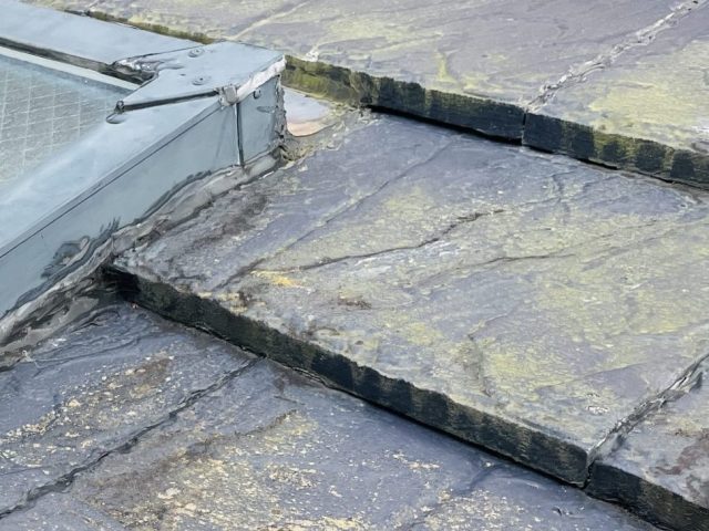 福岡市西区の苔だらけのセメント瓦