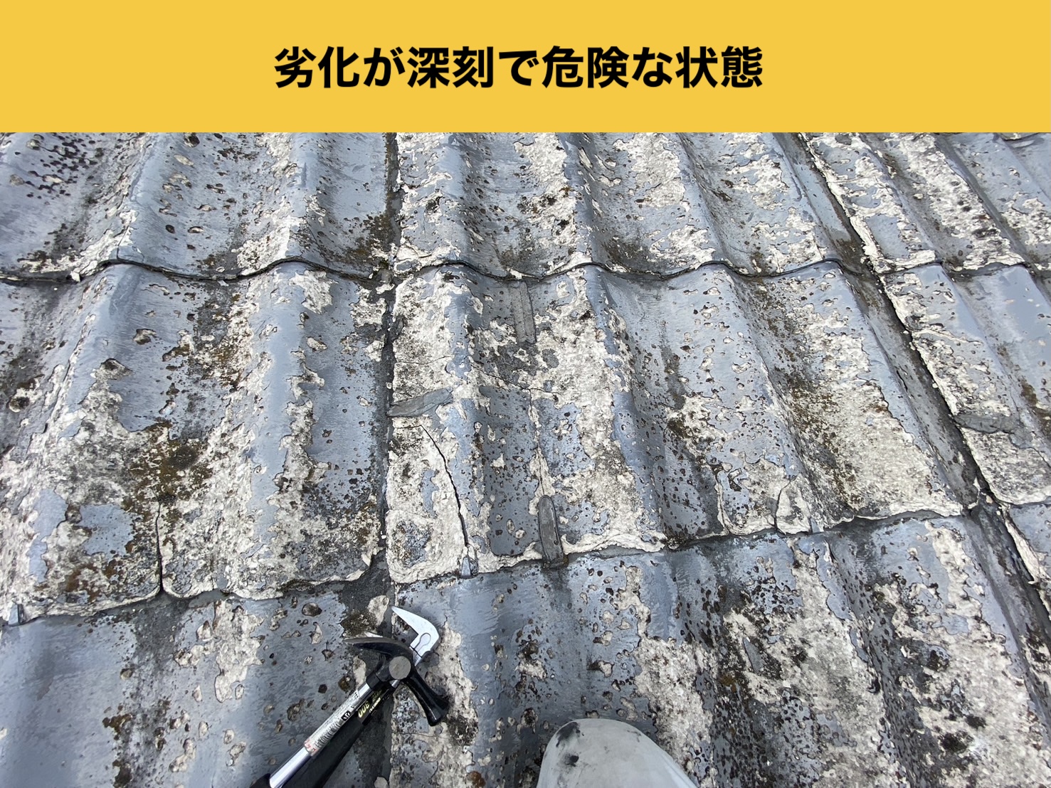 福岡市博多区のセキスイかわらUの調査