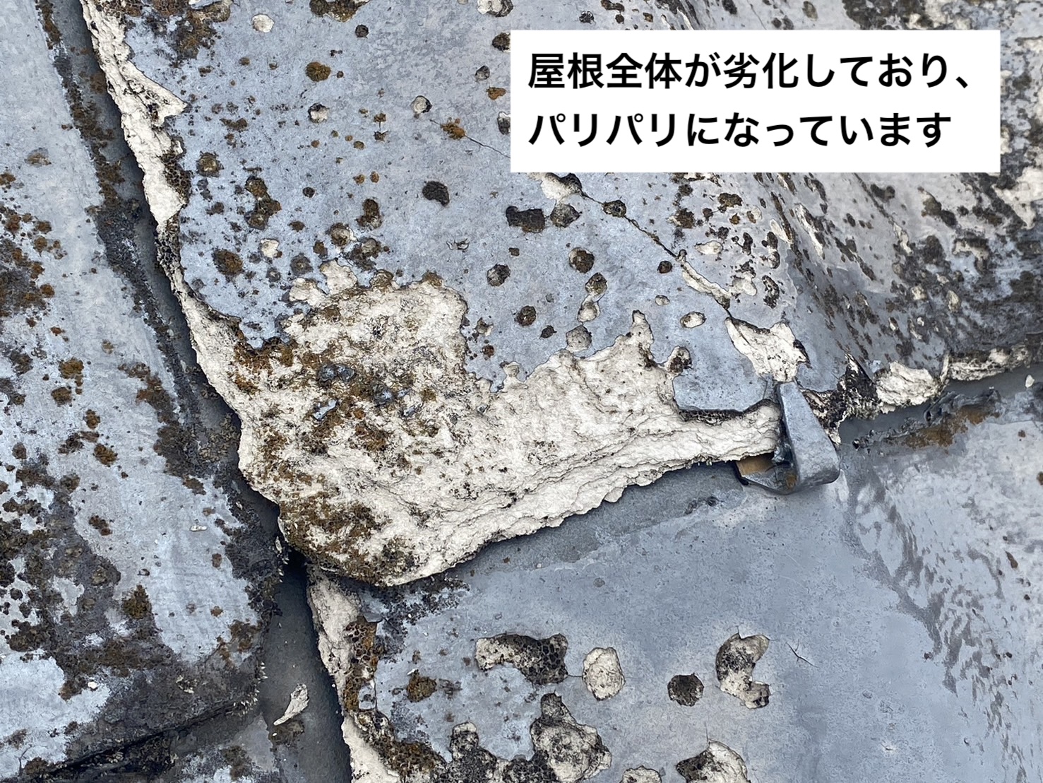 屋根の劣化