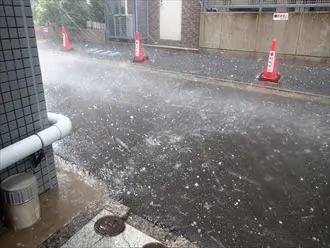 雹被害。雹