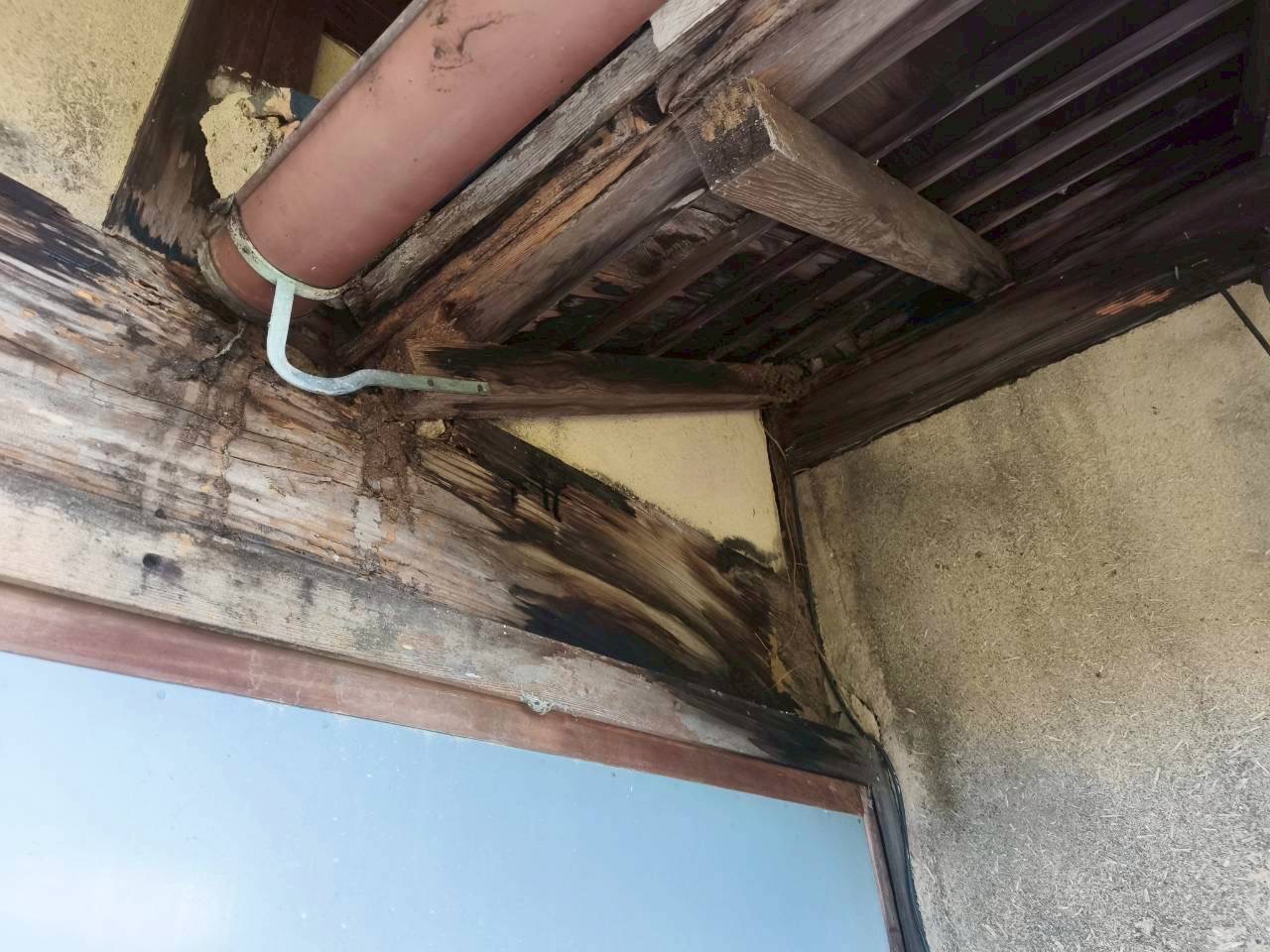 東員町谷樋からの雨漏り