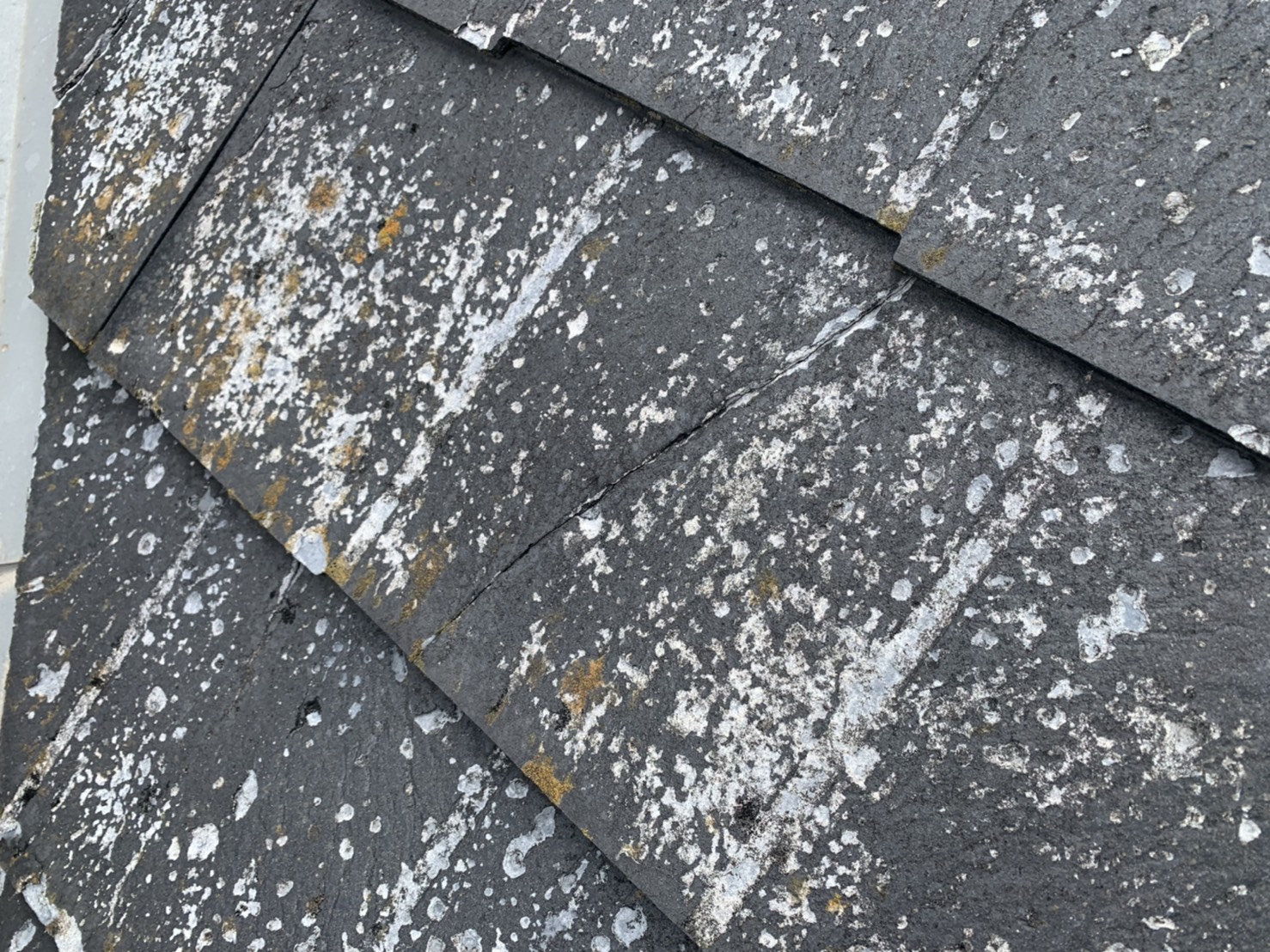 パミール屋根　接写