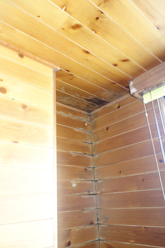 木の小幅板を張った様な壁の、入り隅部や目地などが黒ずんでいる。