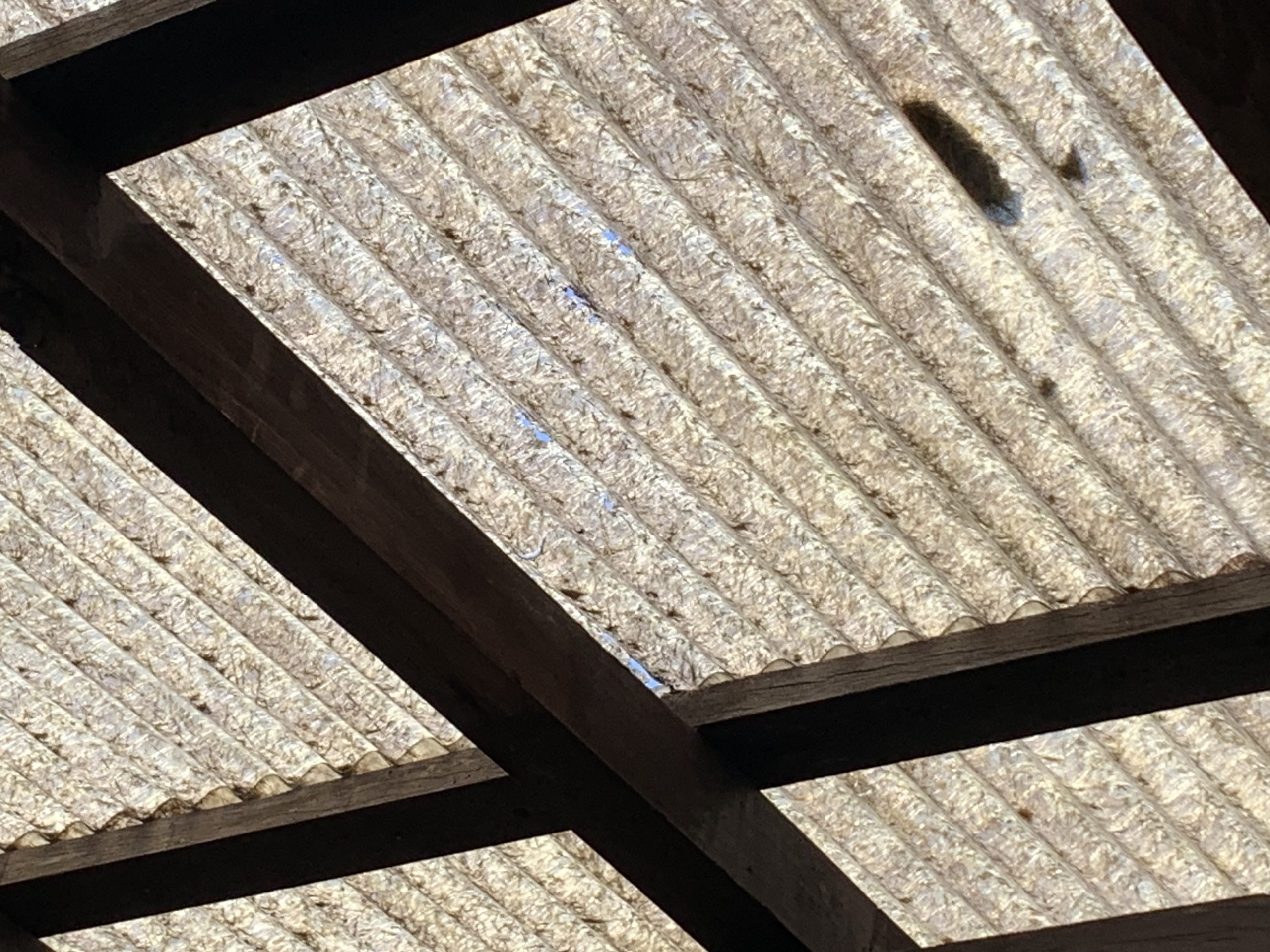 四日市市の雪により壊れた波板