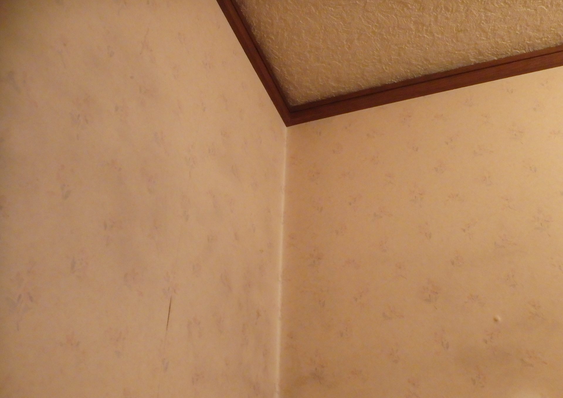 桑名市の築48年中古住宅、１階トイレ雨漏り状況