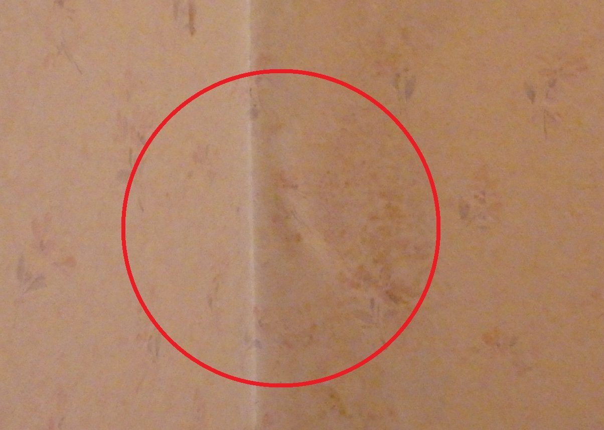 桑名市の築48年中古住宅、１階雨漏り状況