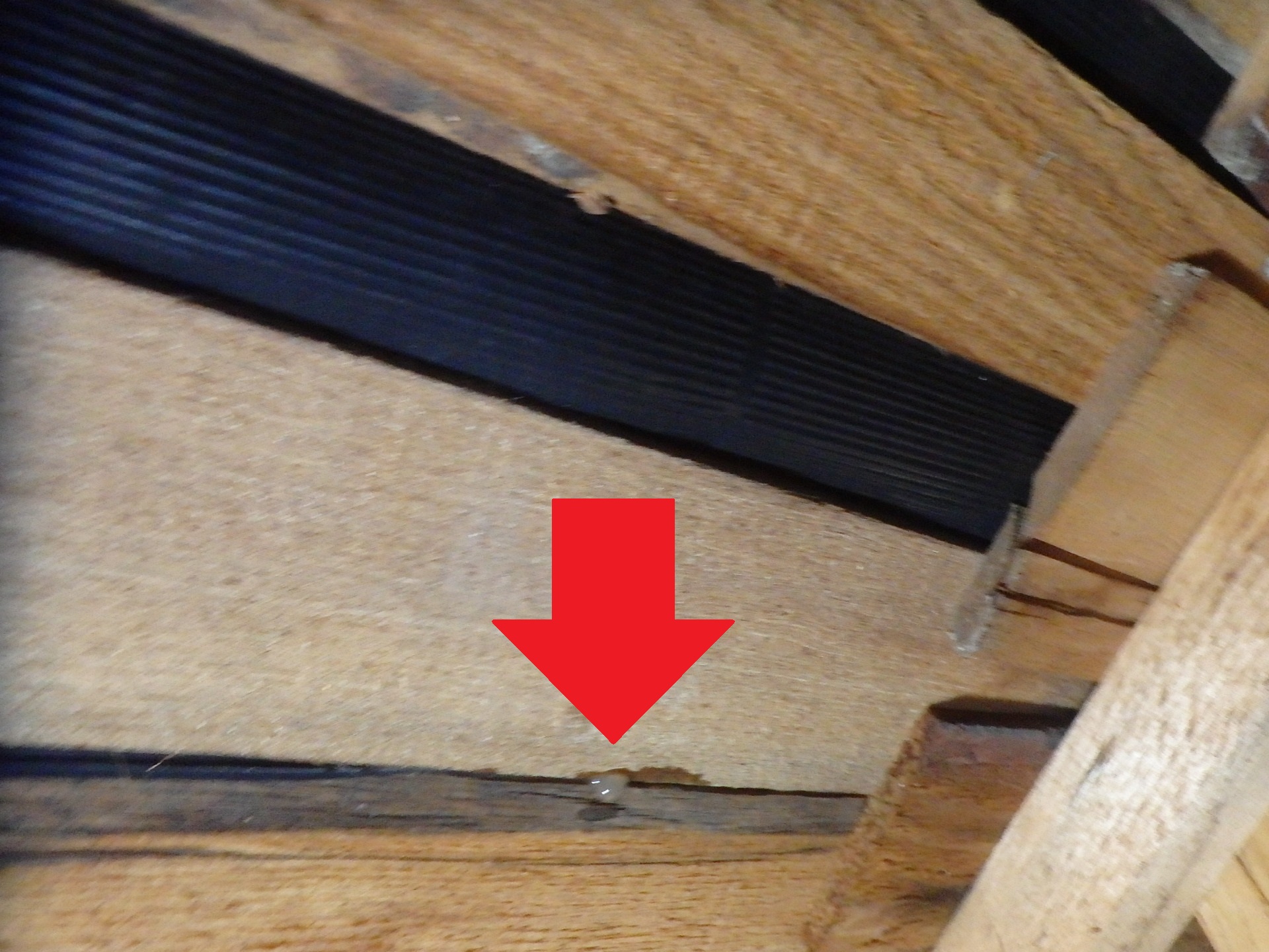 東員町の屋根裏雨漏り調査、水滴が垂れるところ