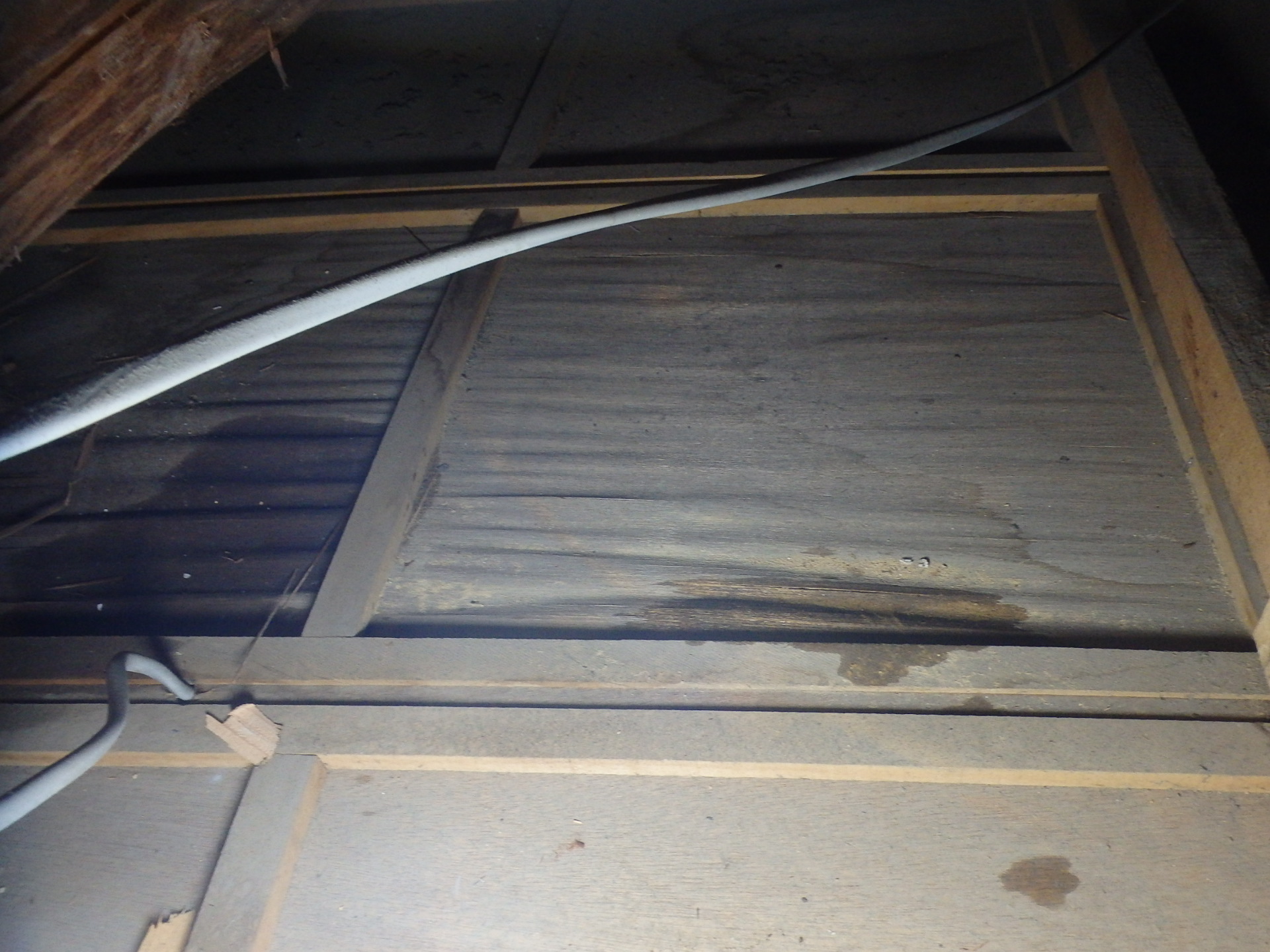 東員町の瓦屋根雨漏り、天井裏の雨漏り状況