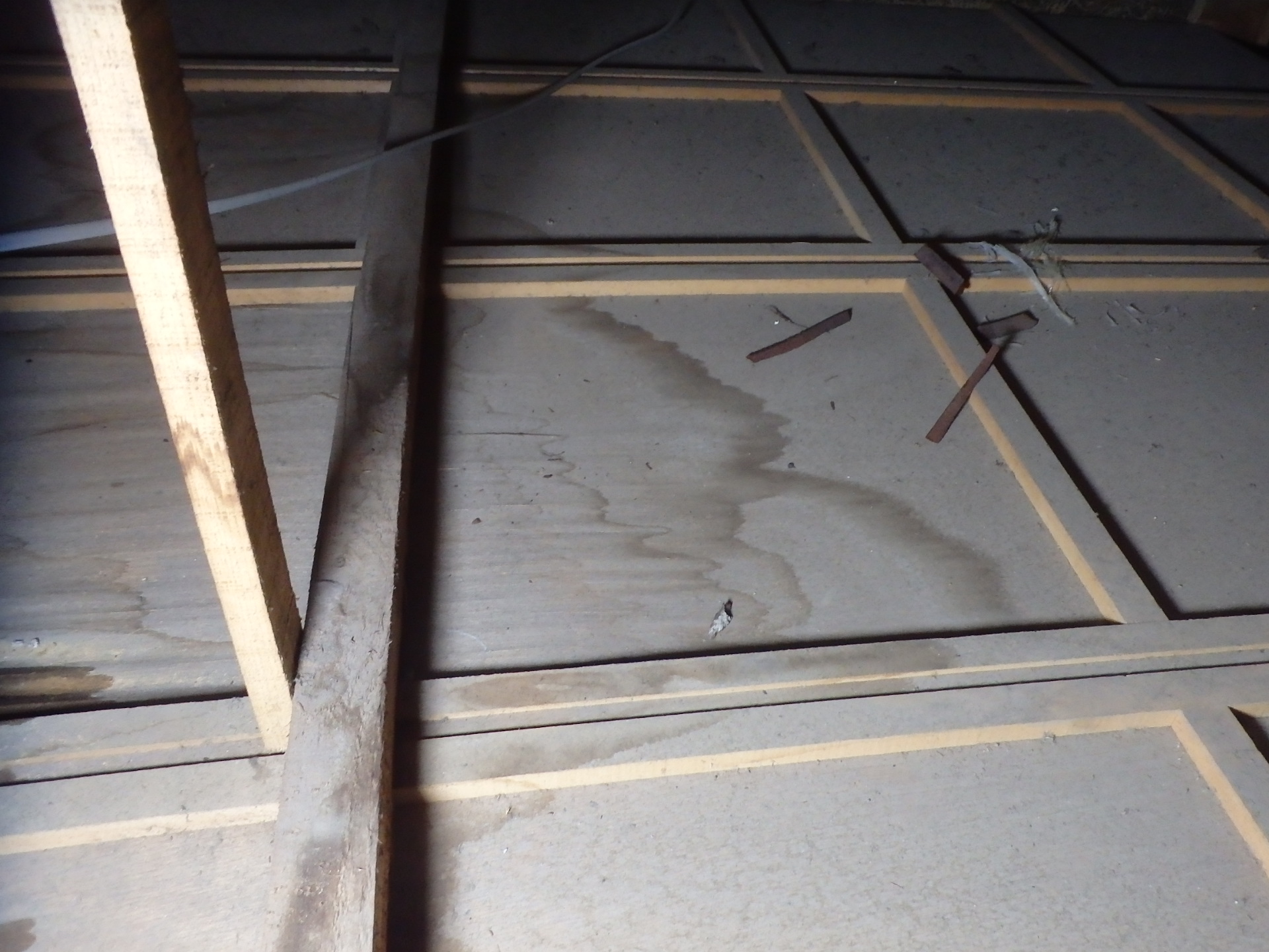 東員町の瓦屋根雨漏り、天井裏の雨漏り状況２