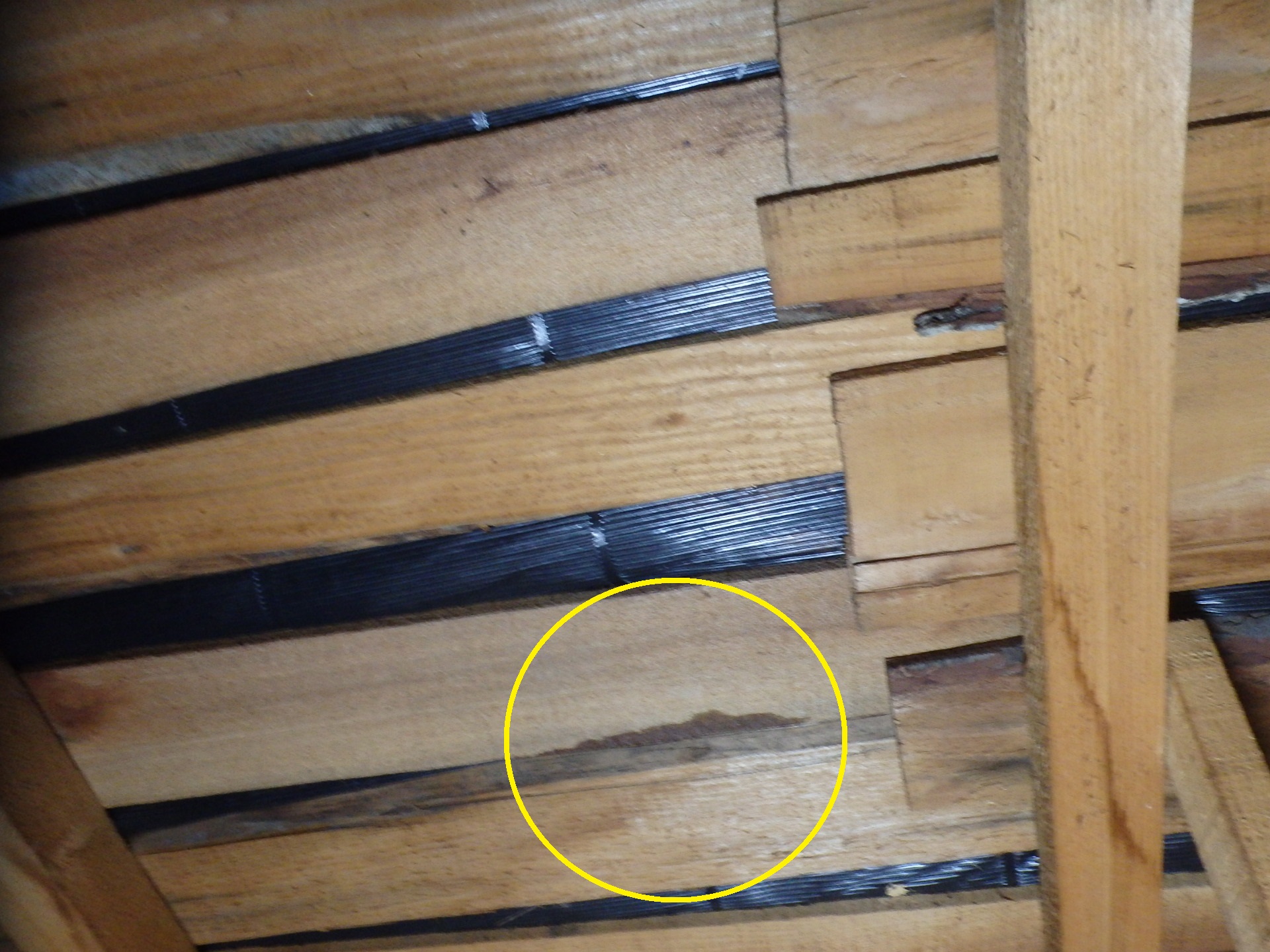 東員町の瓦屋根雨漏り、瓦下の野地板の雨染み箇所