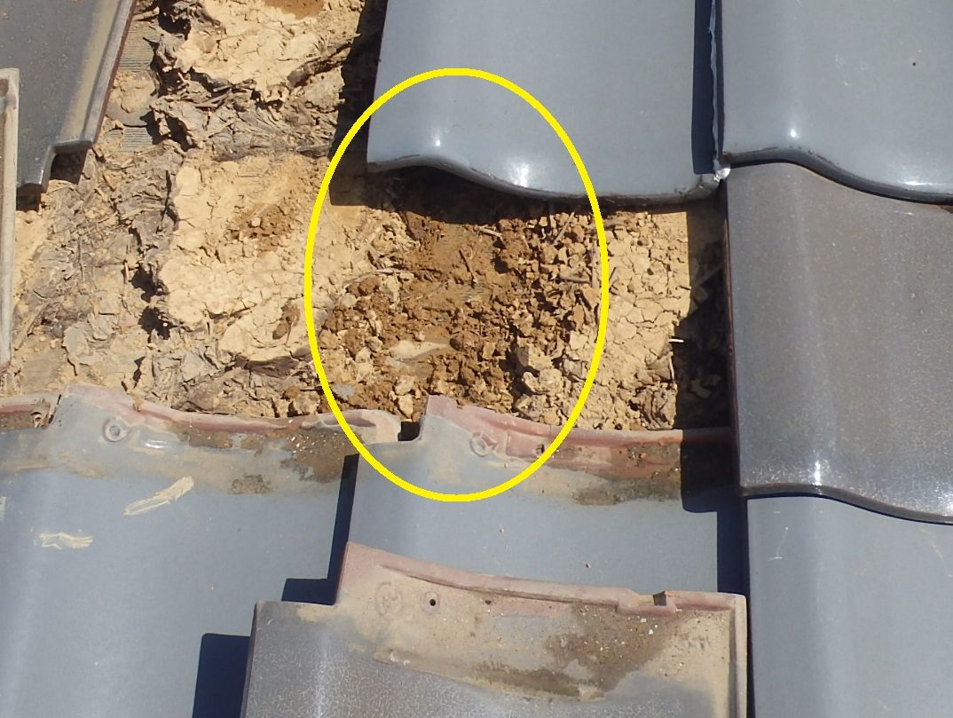 東員町の瓦屋根雨漏り、瓦を剥がして雨漏り調査状況