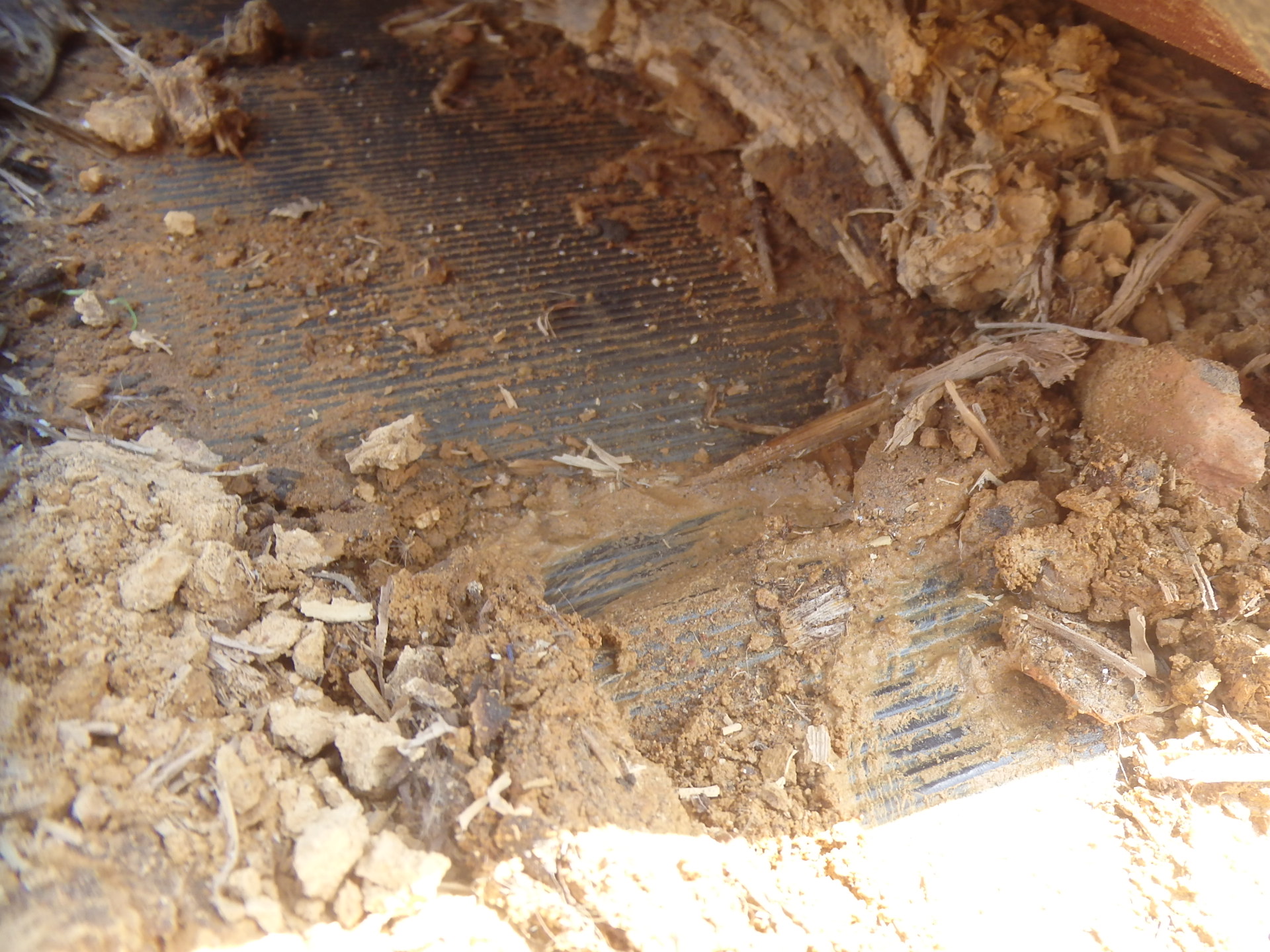 東員町の瓦屋根雨漏り、瓦を剥がして雨漏り調査状況葺き土が濡れている箇所の拡大図