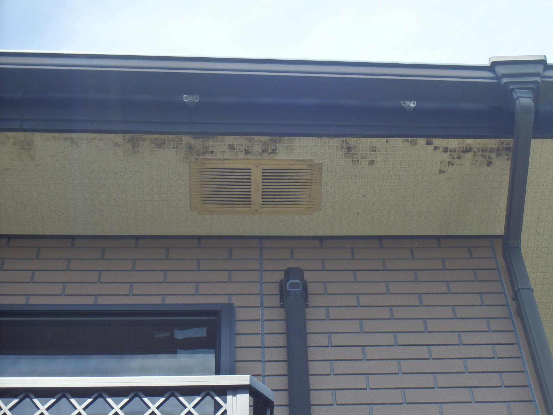 軒天カビ発生四日市市