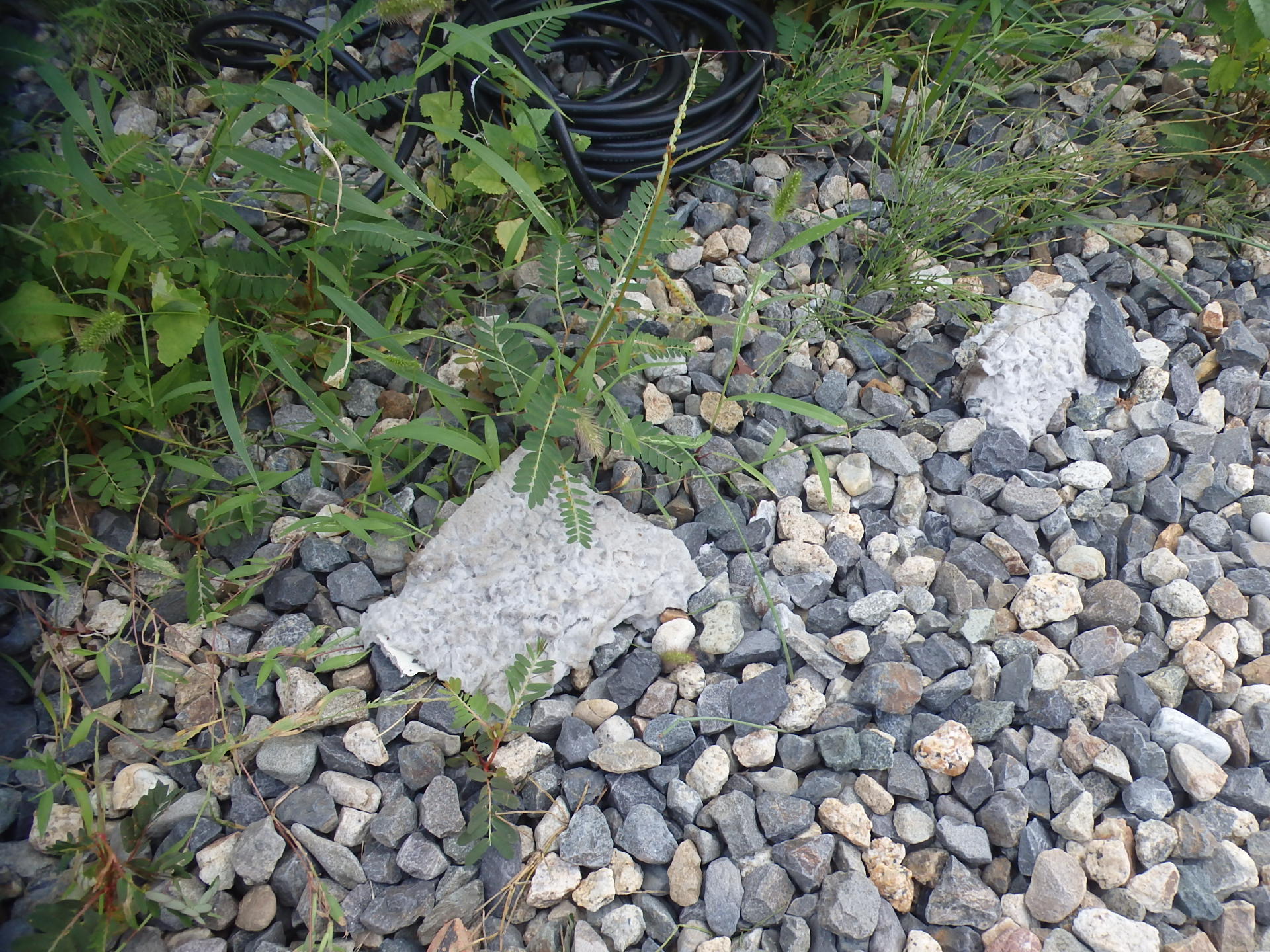 四日市市で軒天落下物