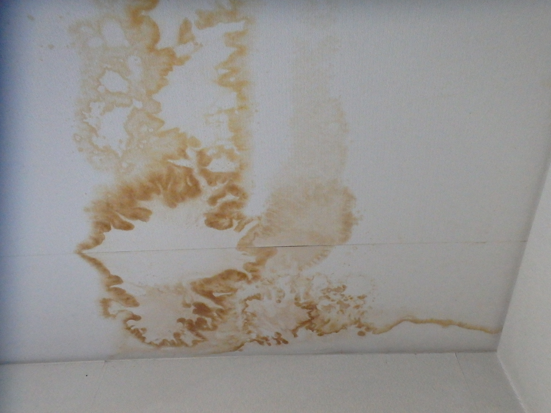 １階天井クロスから茶色いシミアップ