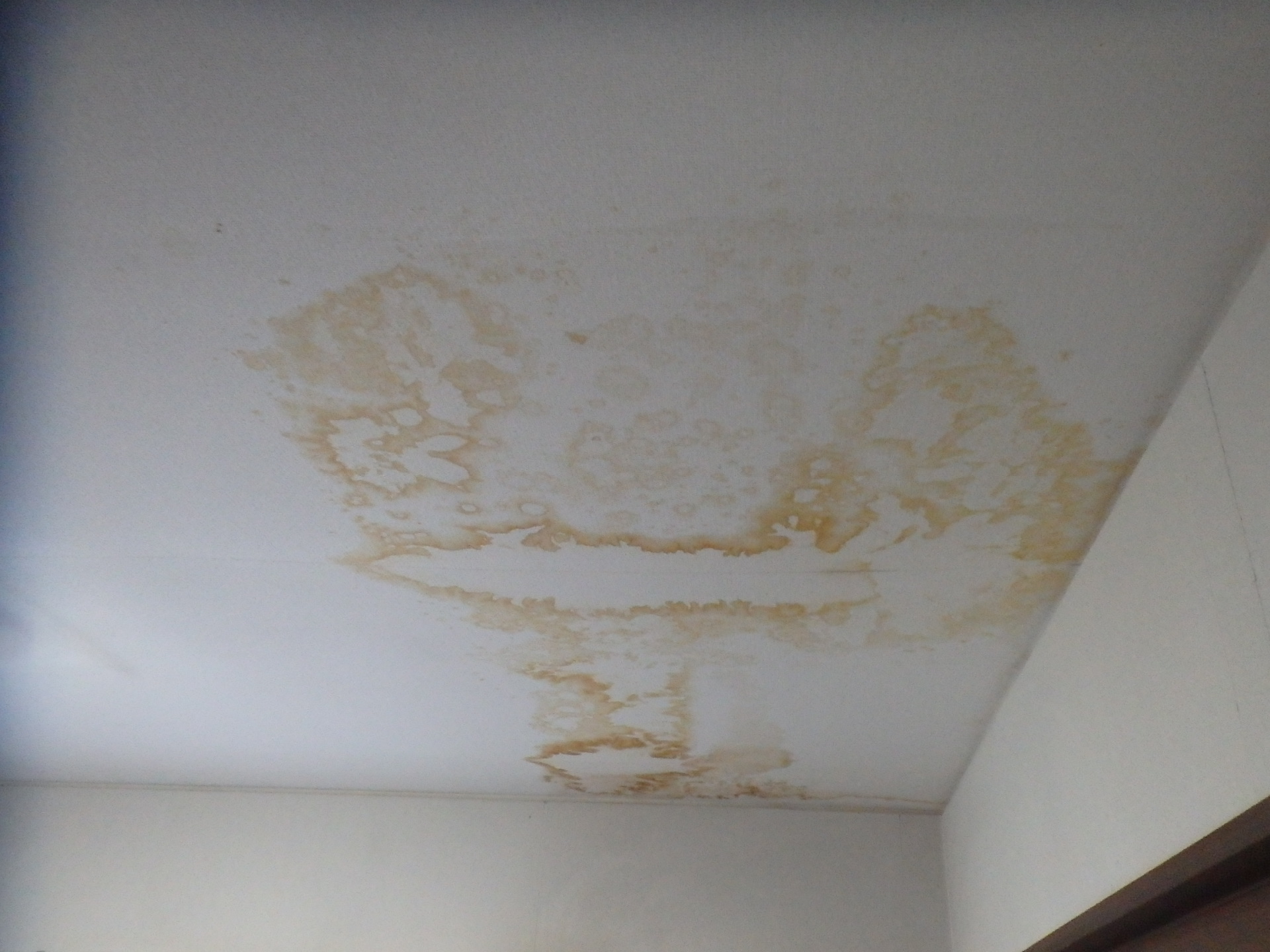 １階天井クロスから茶色いシミ