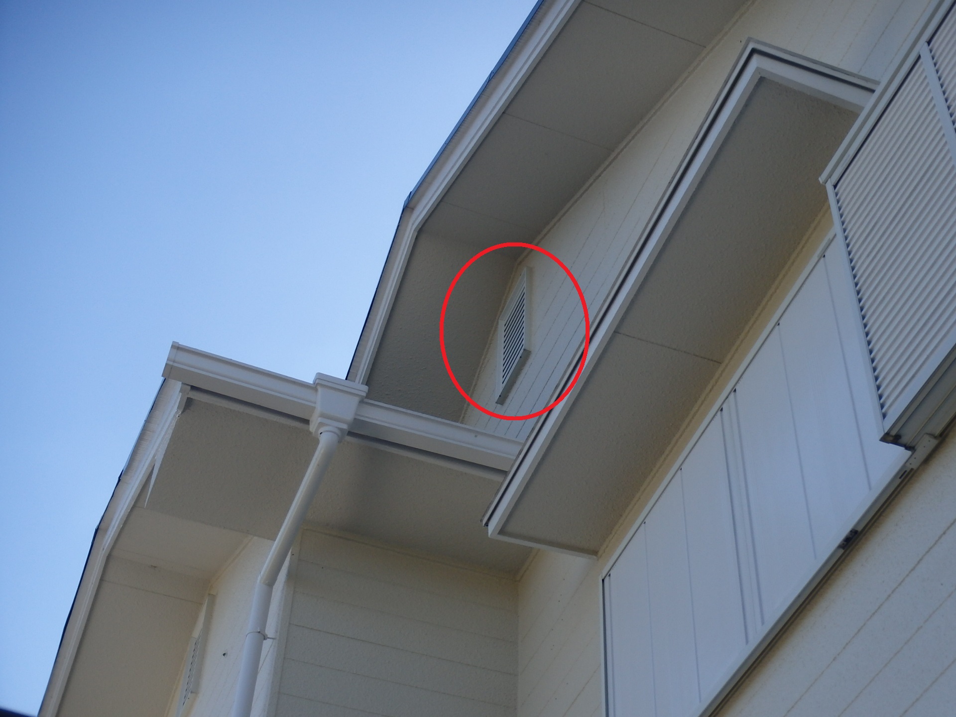 妻換気コウモリの浸入口