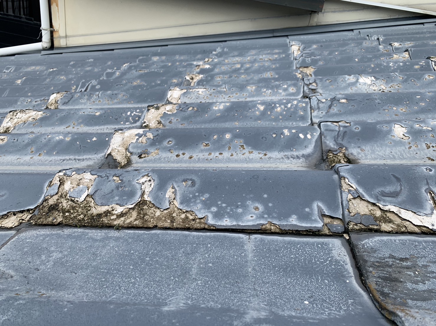 菰野町セキスイかわらU