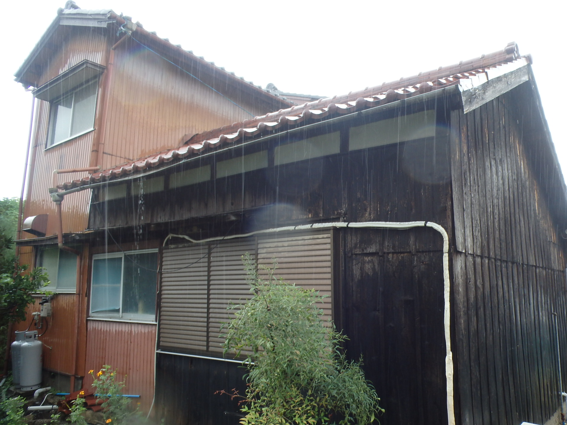 四日市市古い古民家裏全景