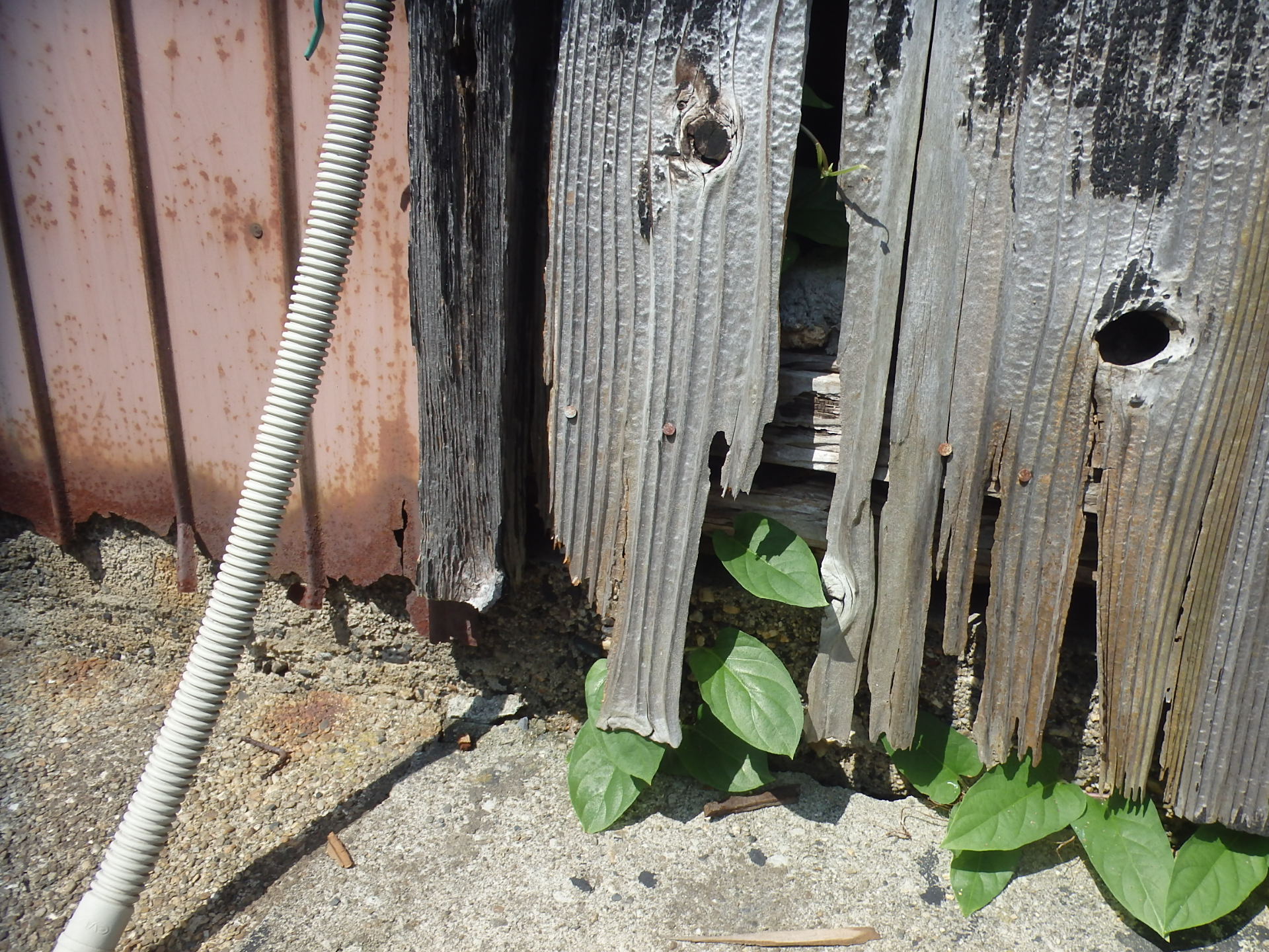 古民家柱も朽ちて床が傾いている