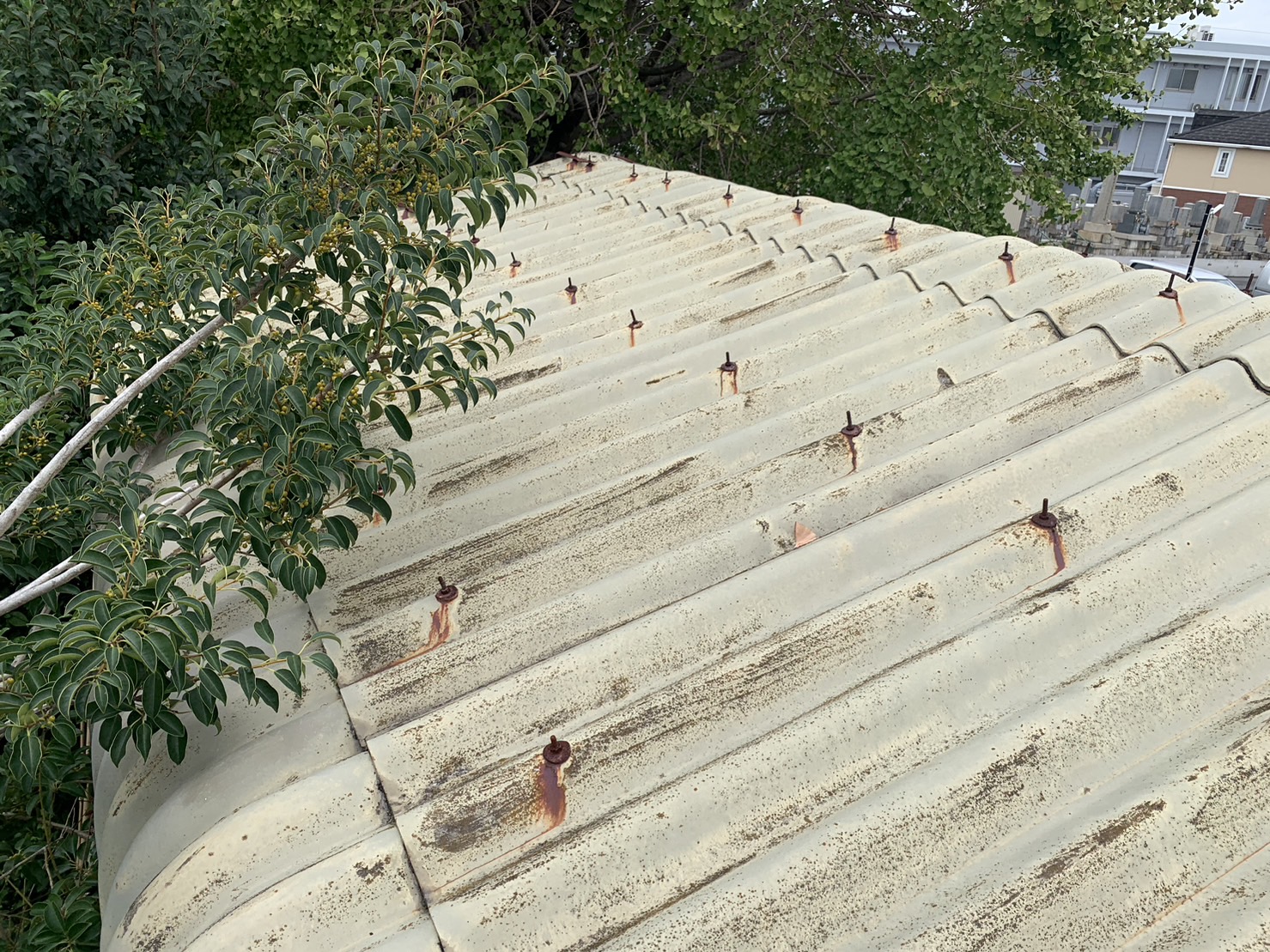 四日市市スレート屋根材の倉庫に樹木が掛かっている状態