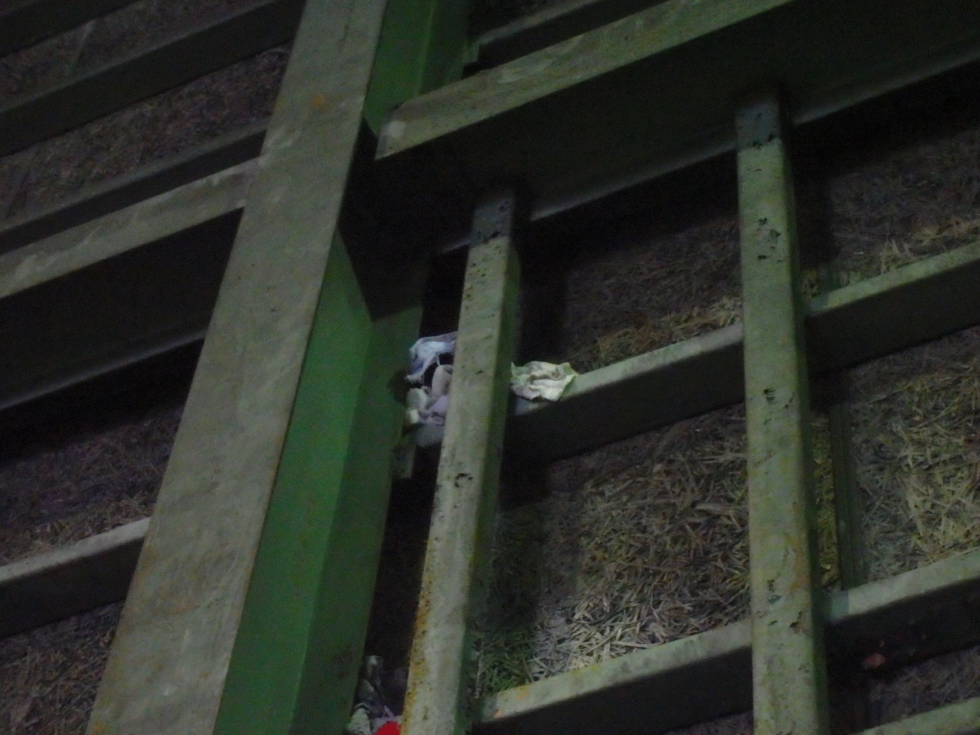四日市市大型倉庫から雨漏り