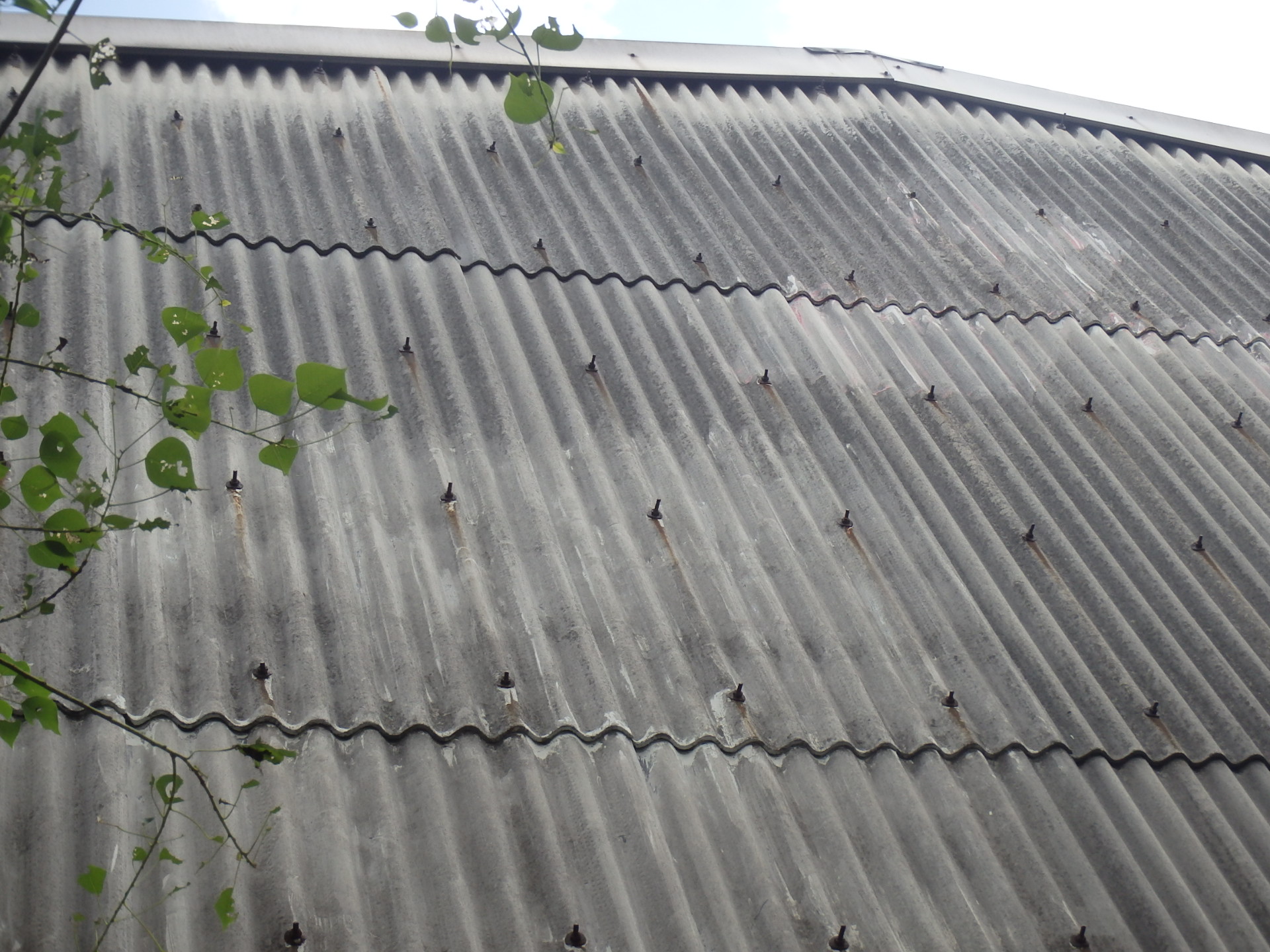 大波スレートの外壁劣化２