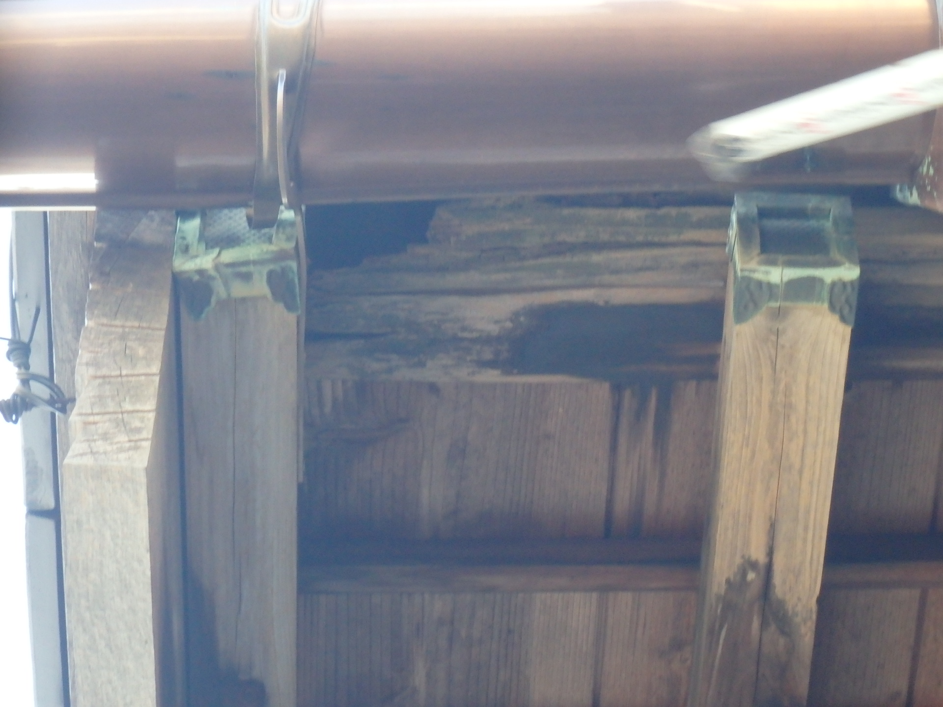 川越町軒先の野地板劣化拡大