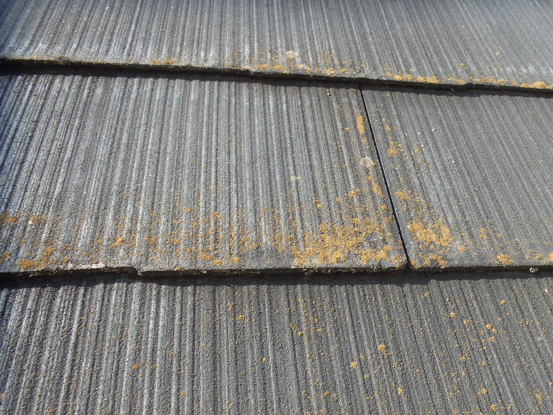 桑名市の招き屋根カラーベスト劣化具合アップ