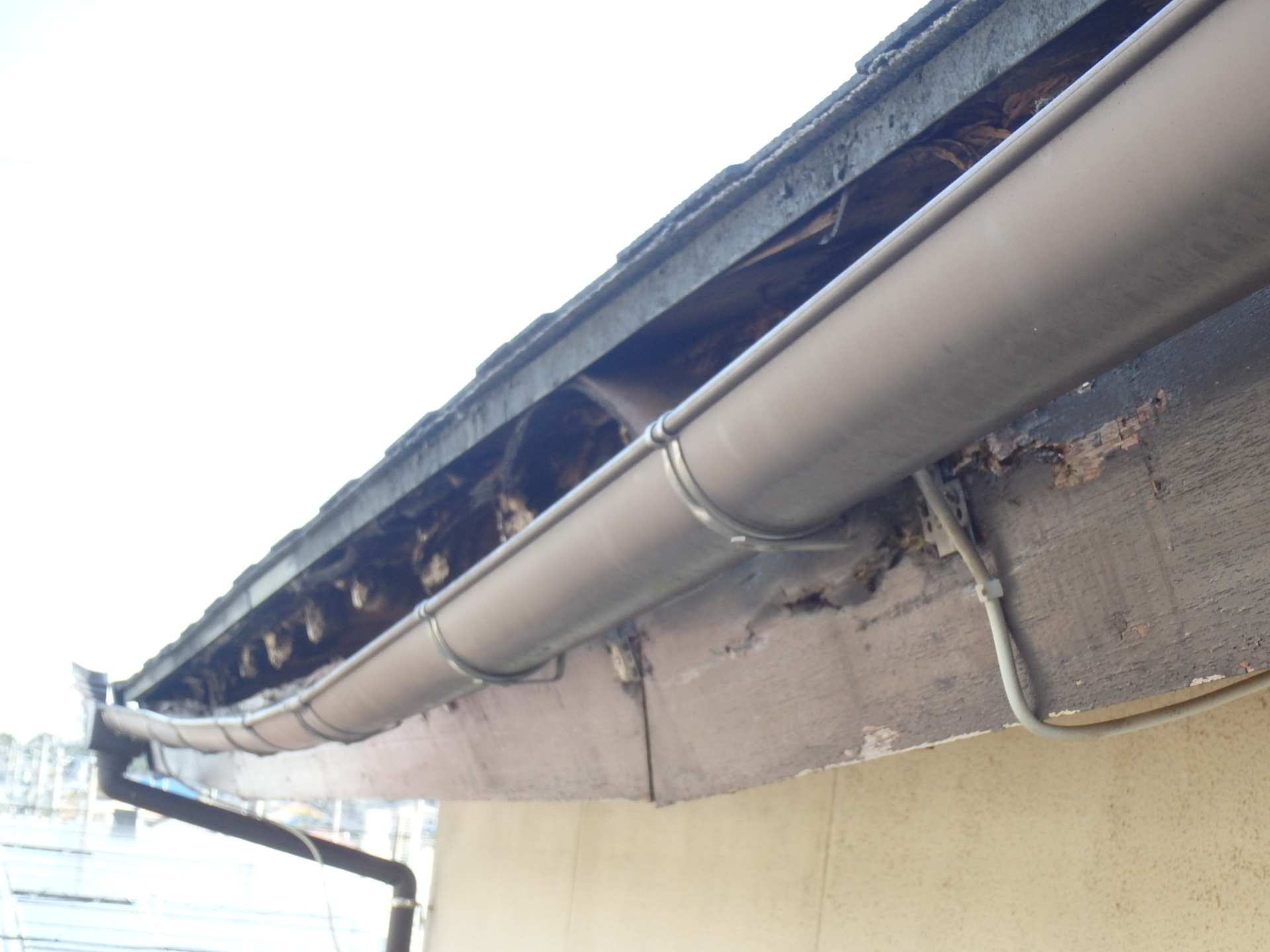 東員町鼻隠しが剥がれた状態