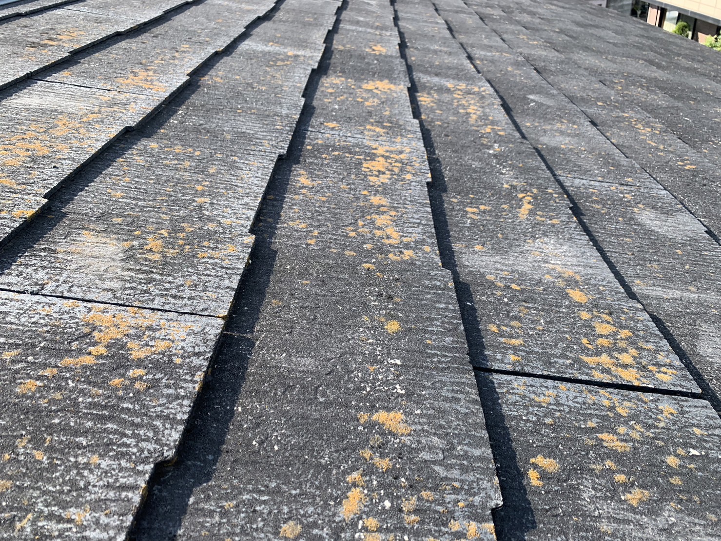 東員町の方へ二階屋根材カラーベストの劣化状況