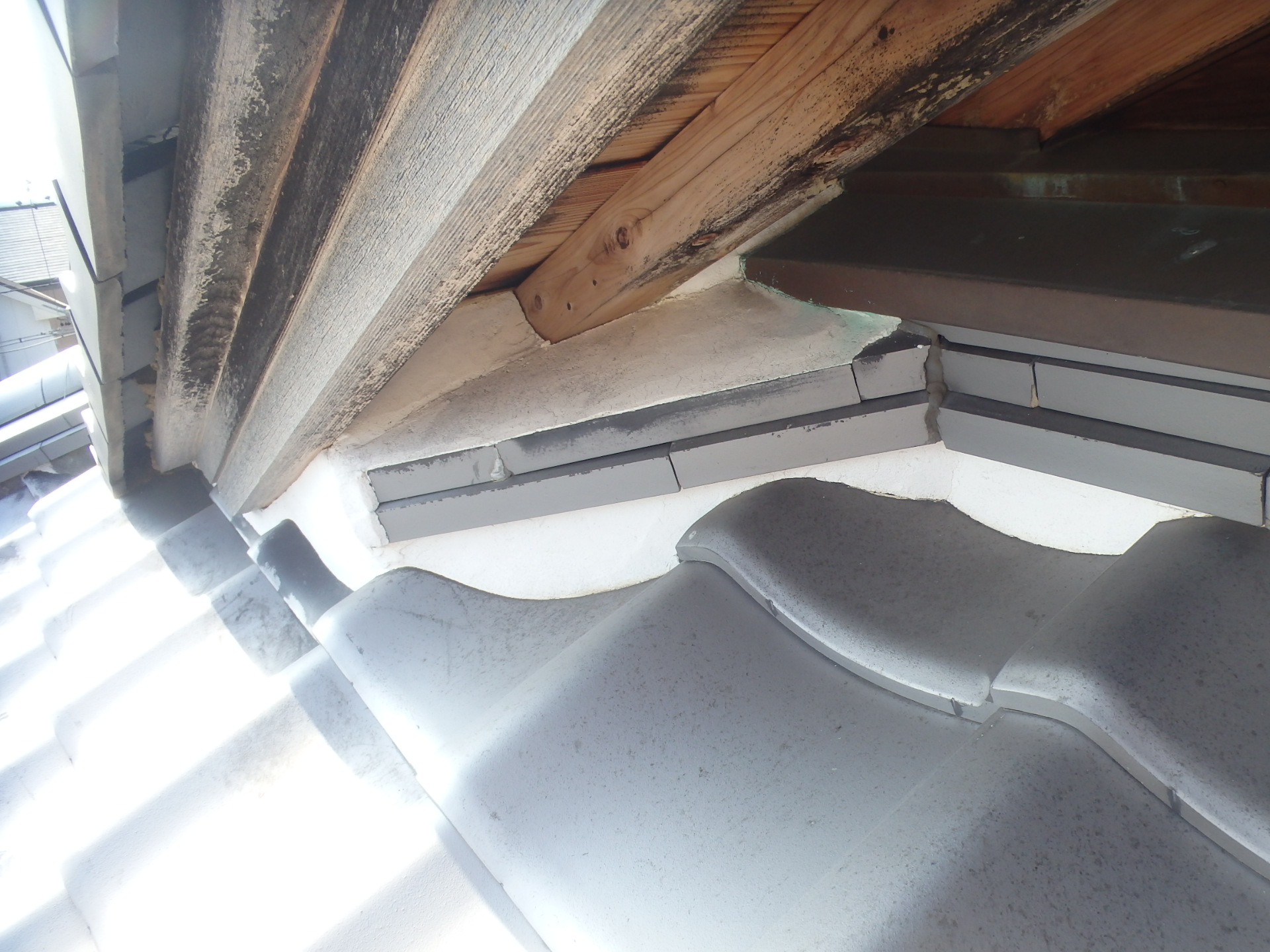 立派な日本家屋のきれいな漆喰状態２