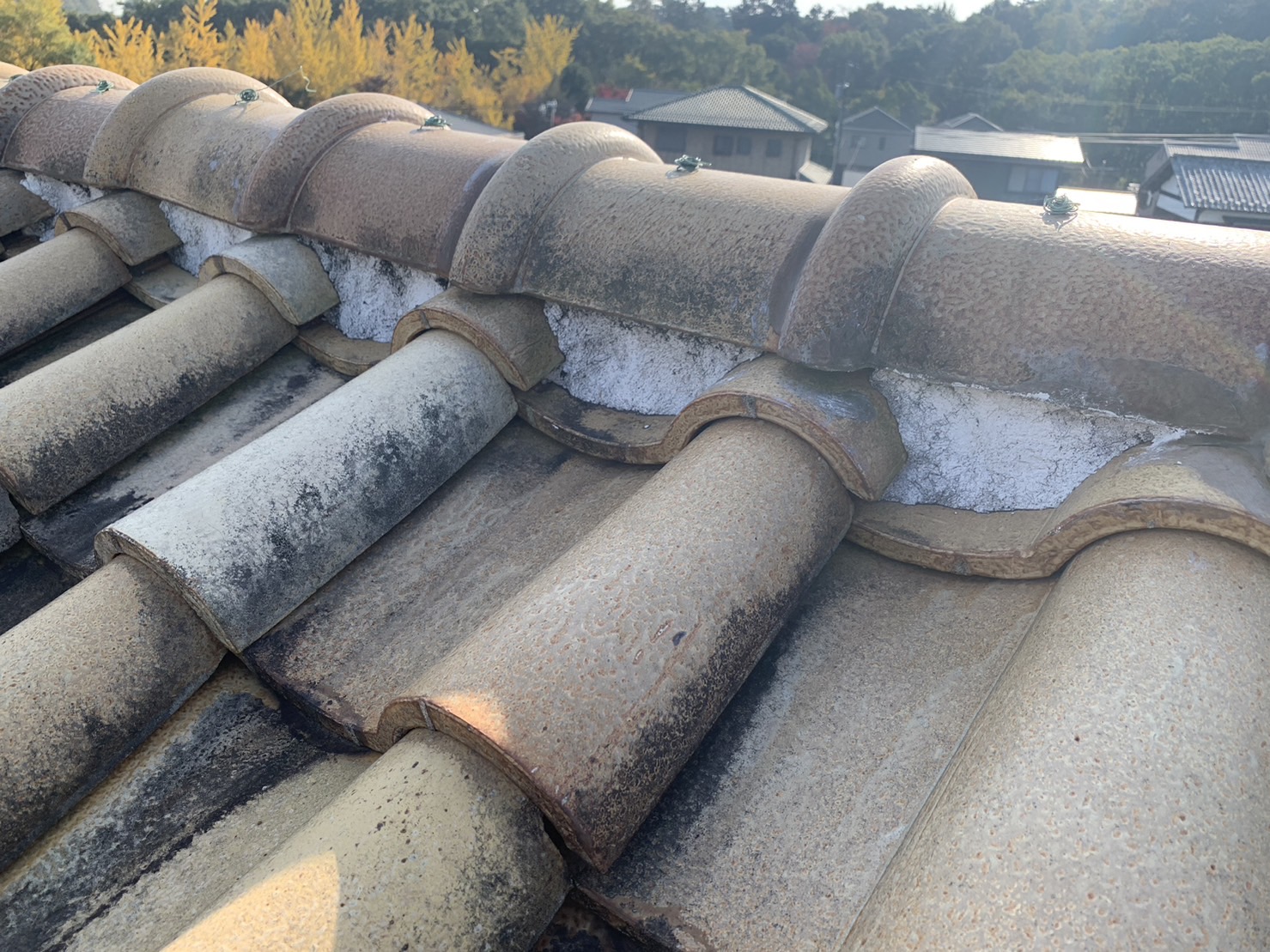 四日市市のS字瓦の漆喰劣化状態