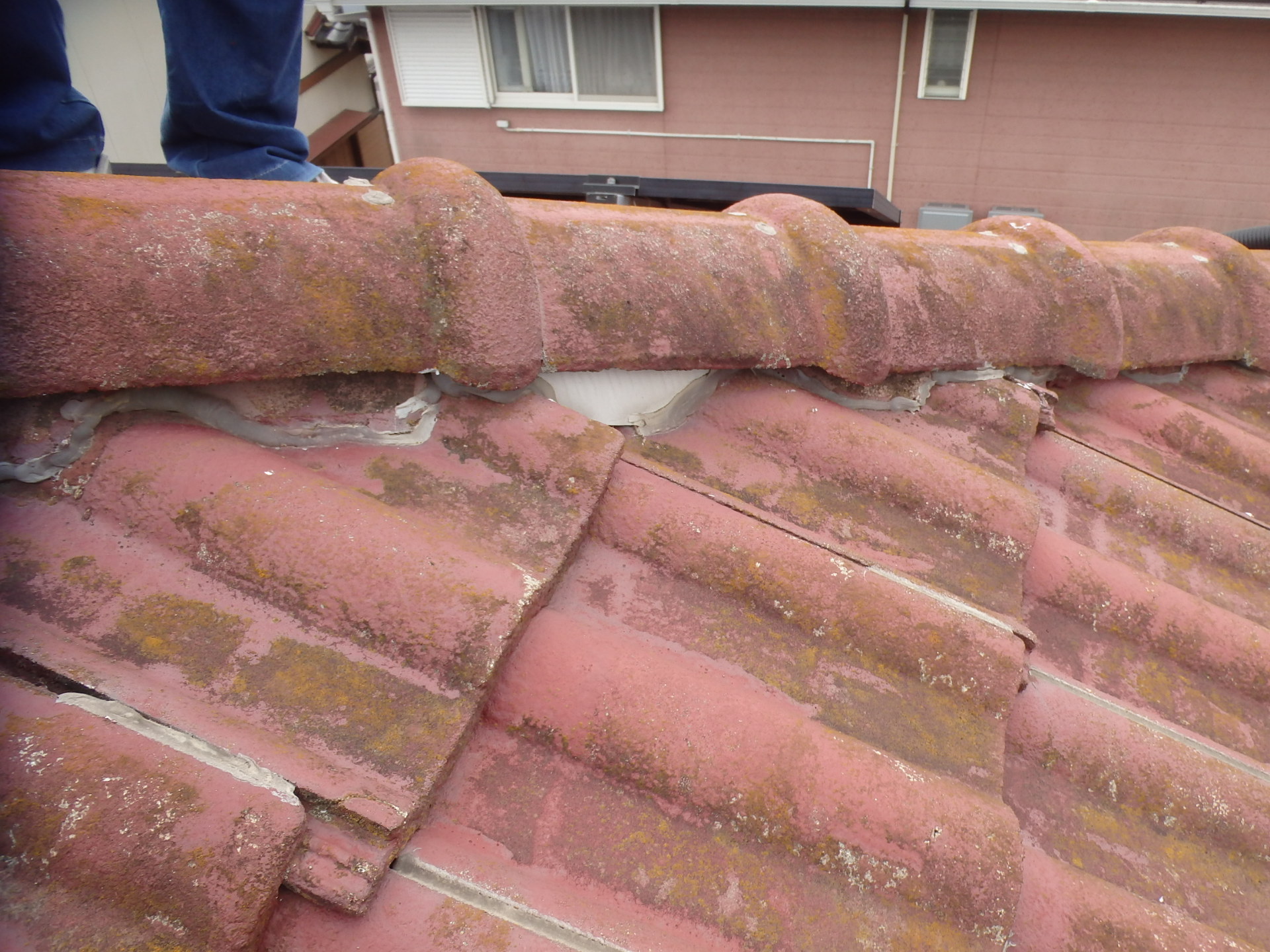 四日市市モニエル瓦の塗膜劣化状況