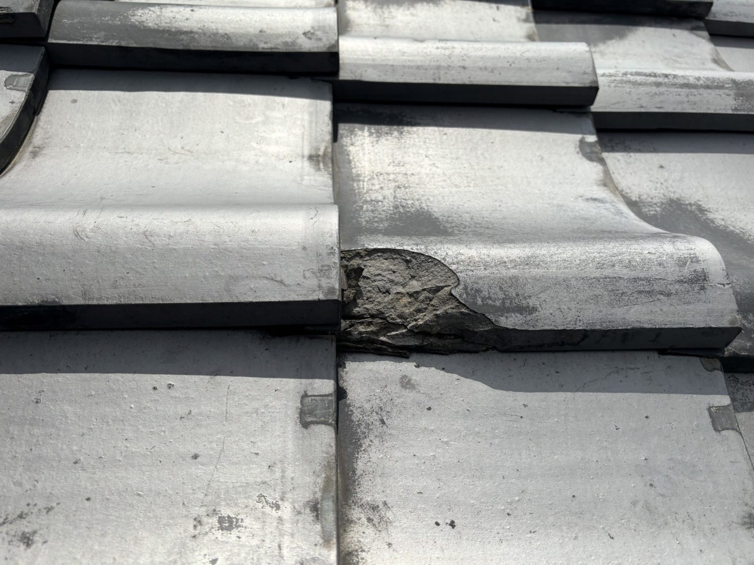 四日市市の瓦屋根、凍て割れの状況3