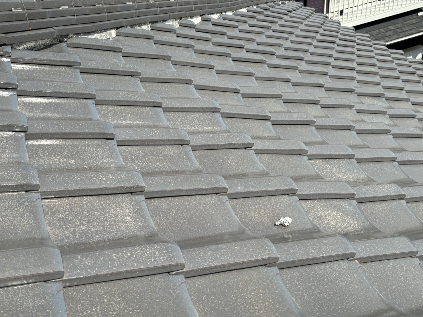 漆喰の破片が飛散しているところ