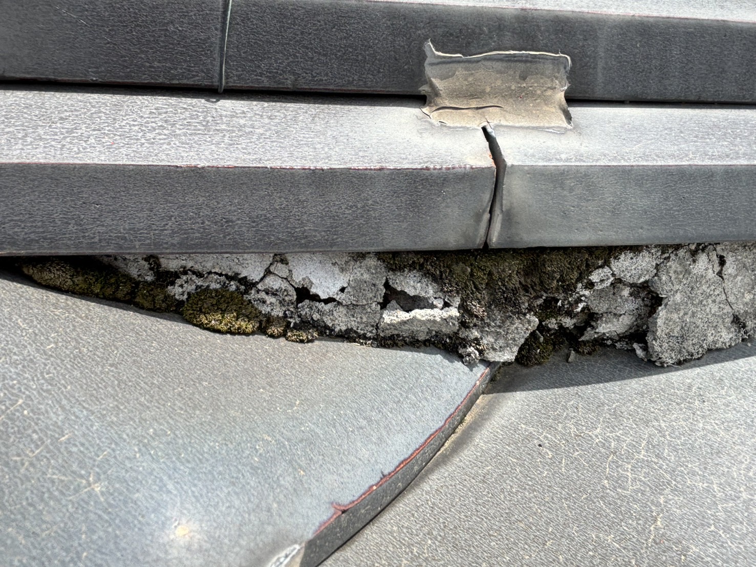 四日市市にて屋根瓦点検、漆喰（しっくい）に苔やカビが発生した状態