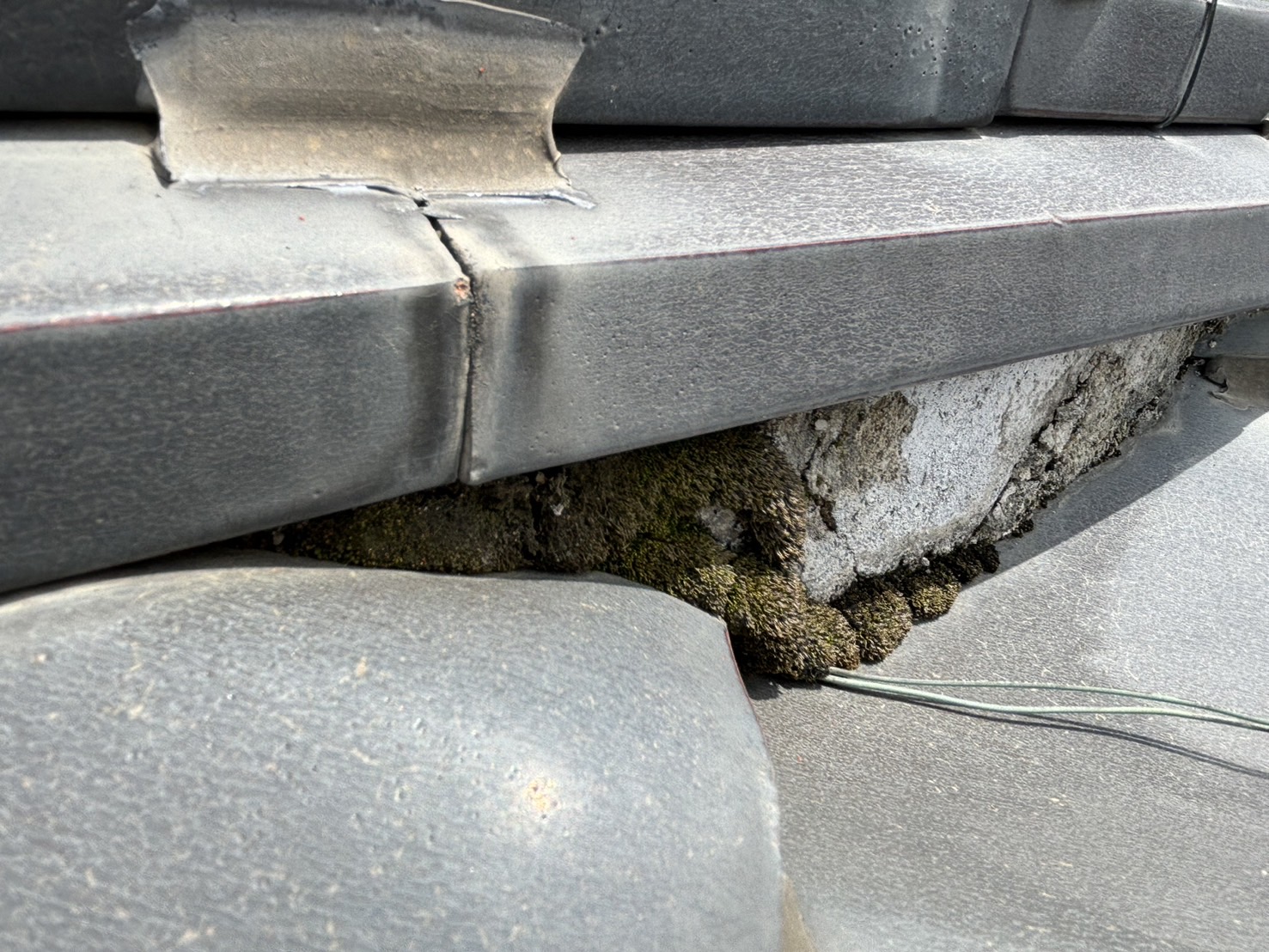四日市市にて屋根瓦点検、棟瓦のしっくいに苔やカビが発生した状態は水分を含みます！